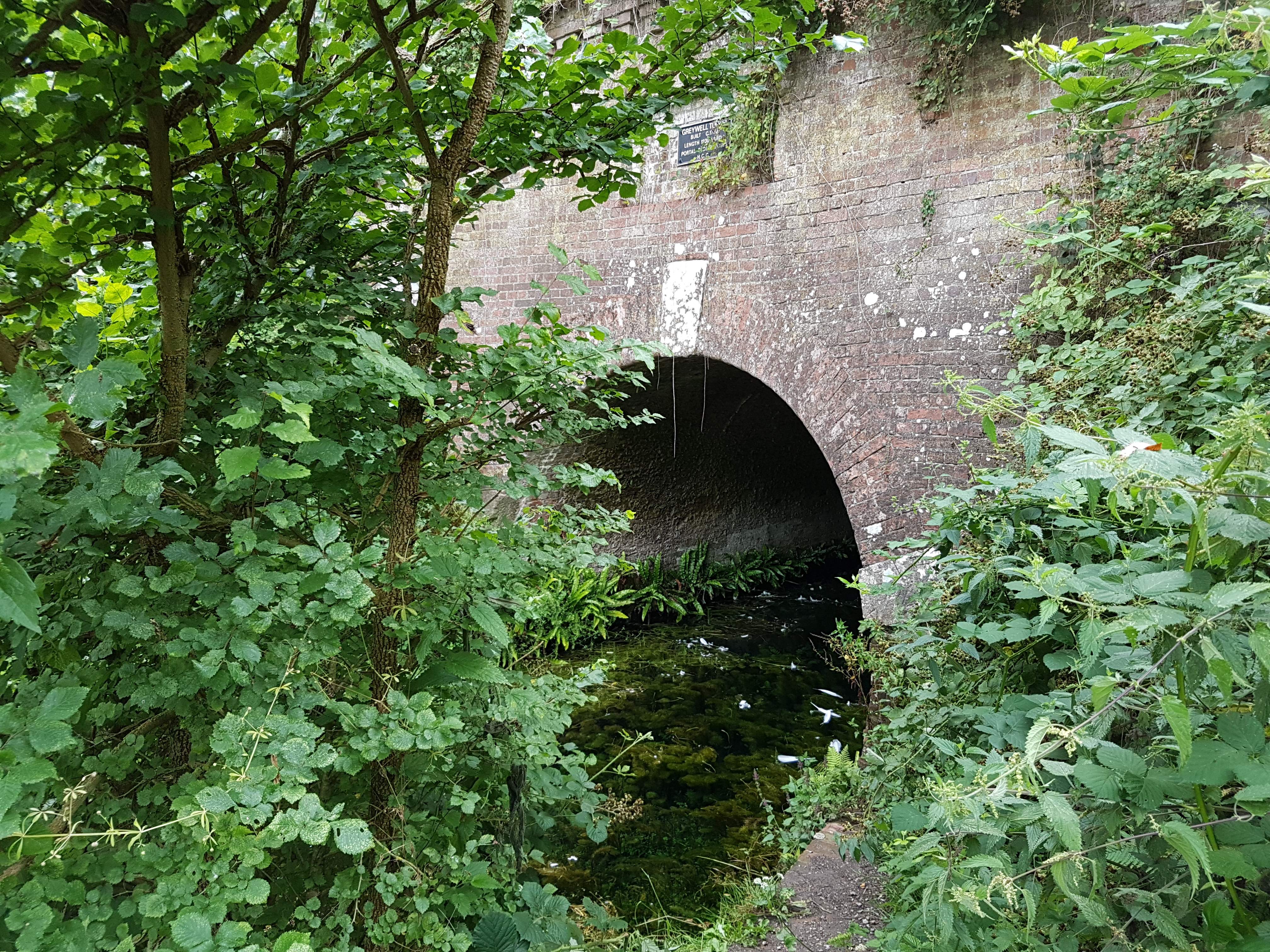 20190727_173955.jpg