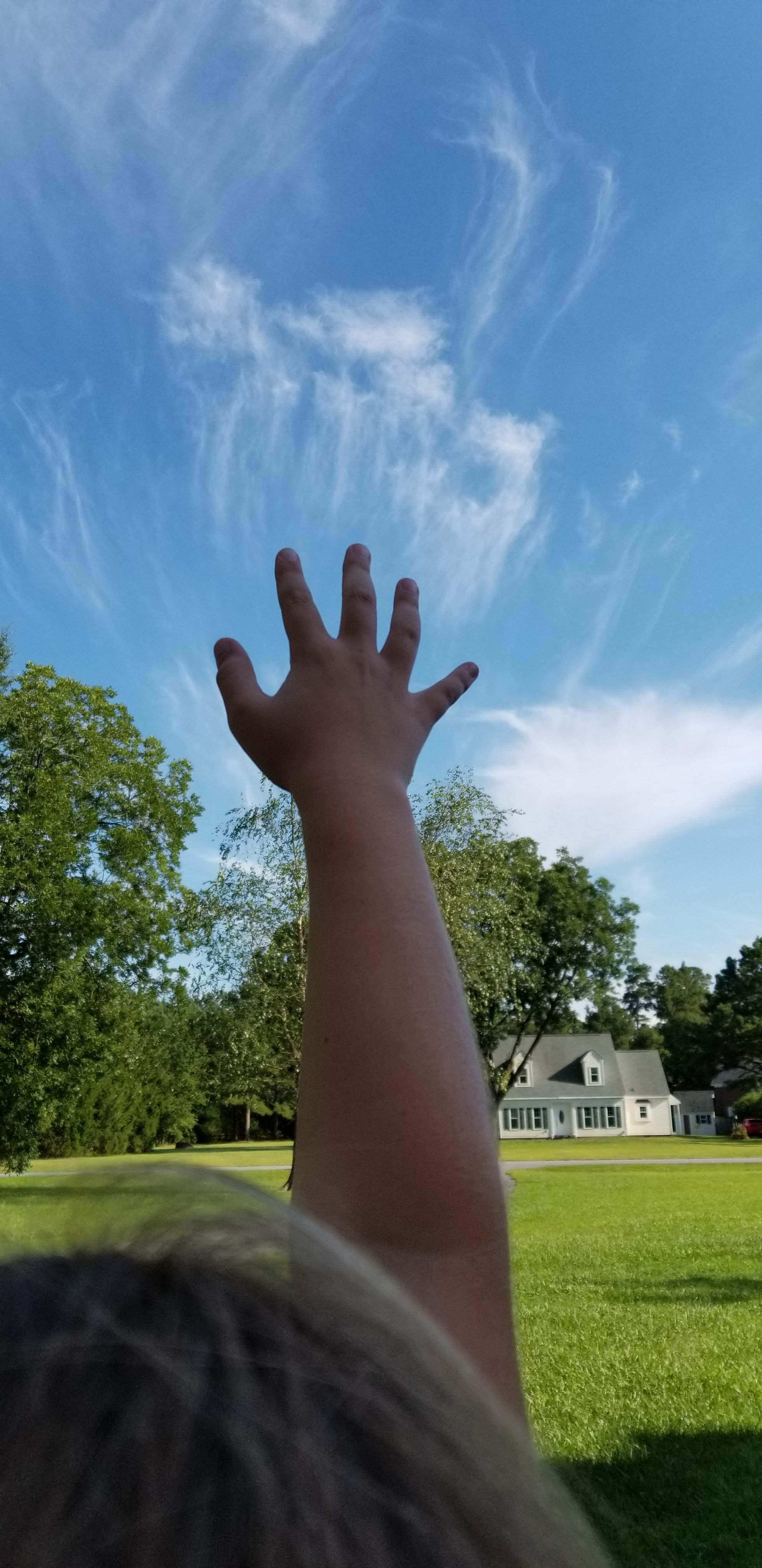 20190730_173548.jpg