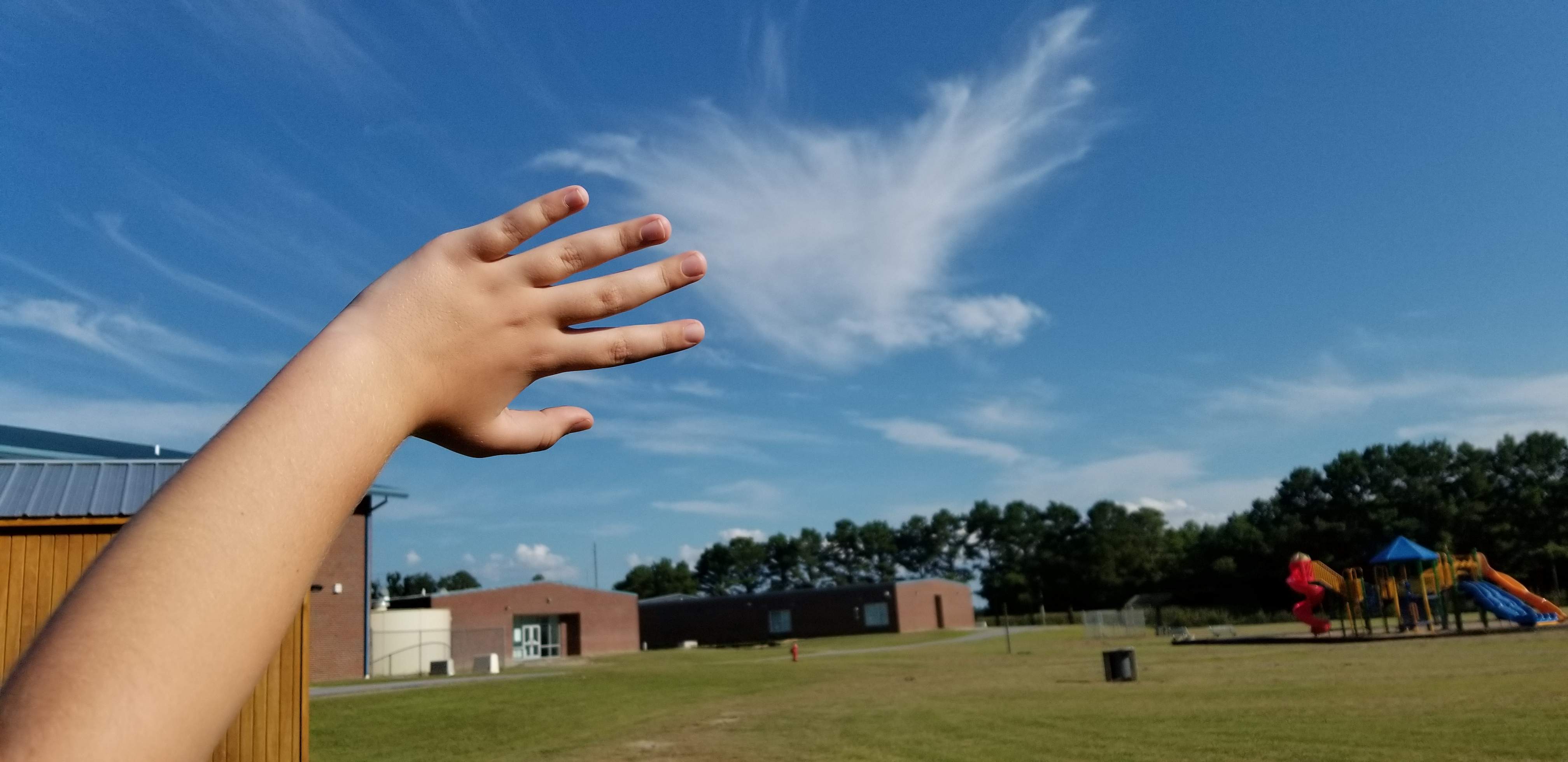 20190730_174512.jpg