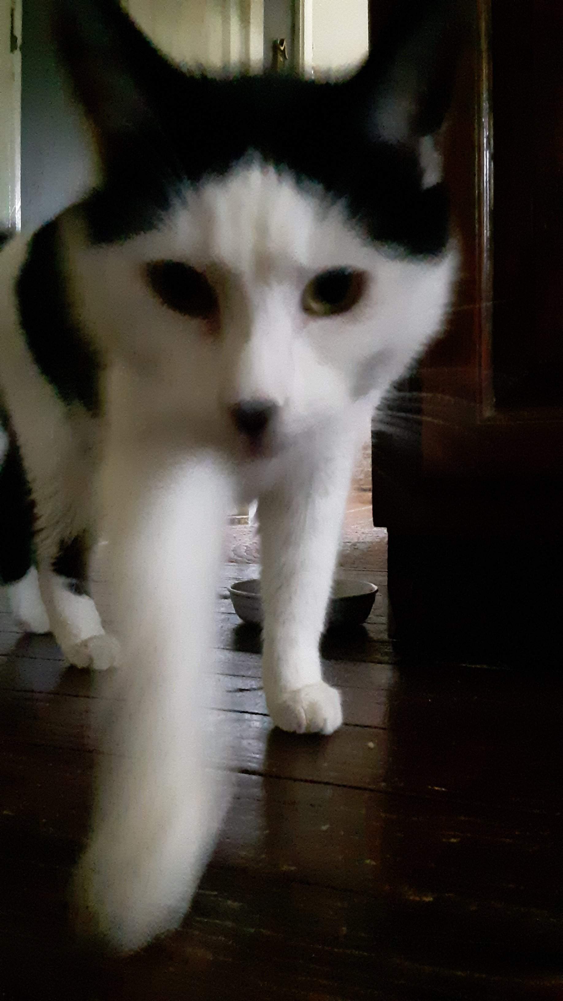 20190731_172745.jpg