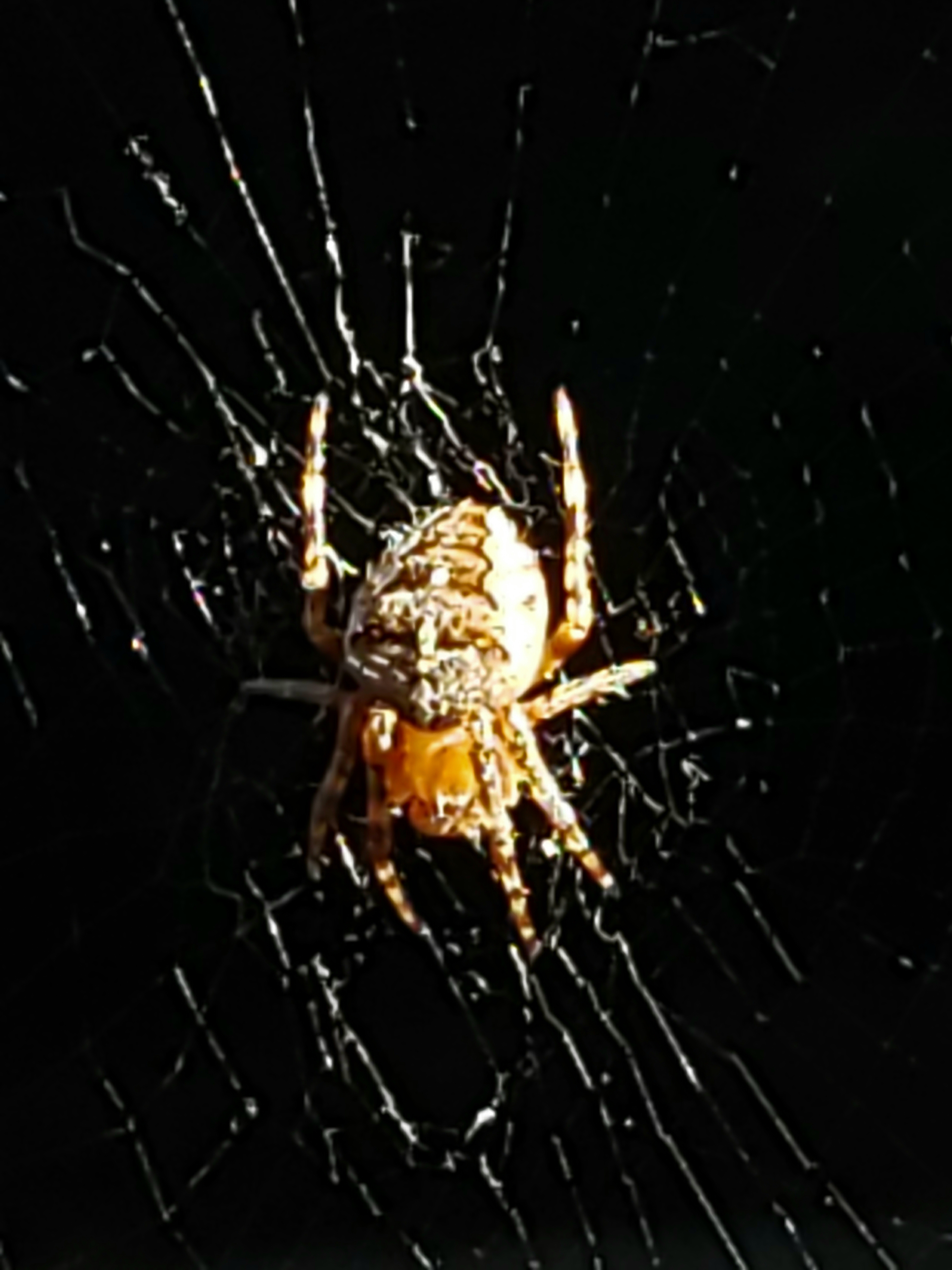 20190805_003044.jpg