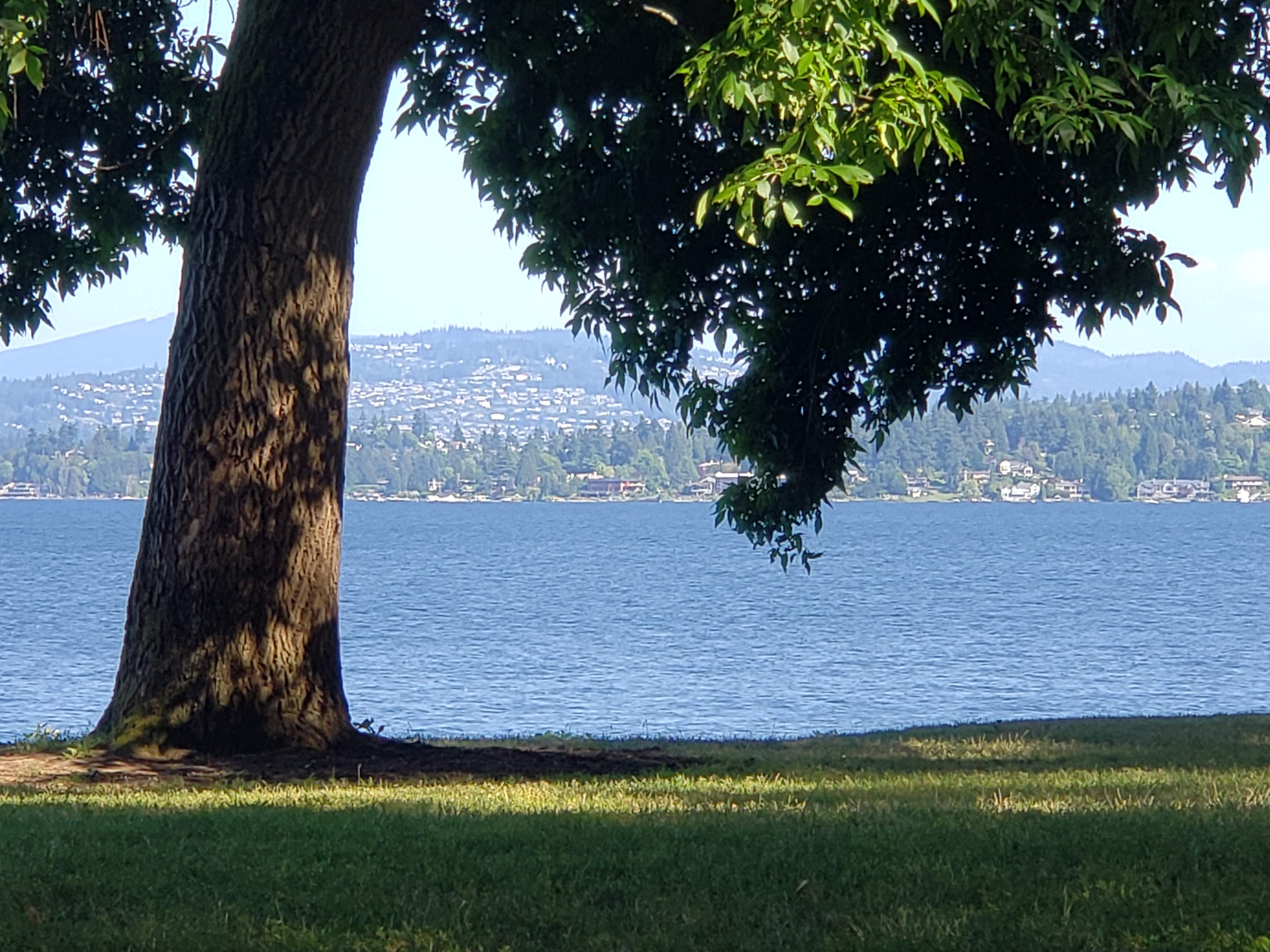 20190805_163927.jpg
