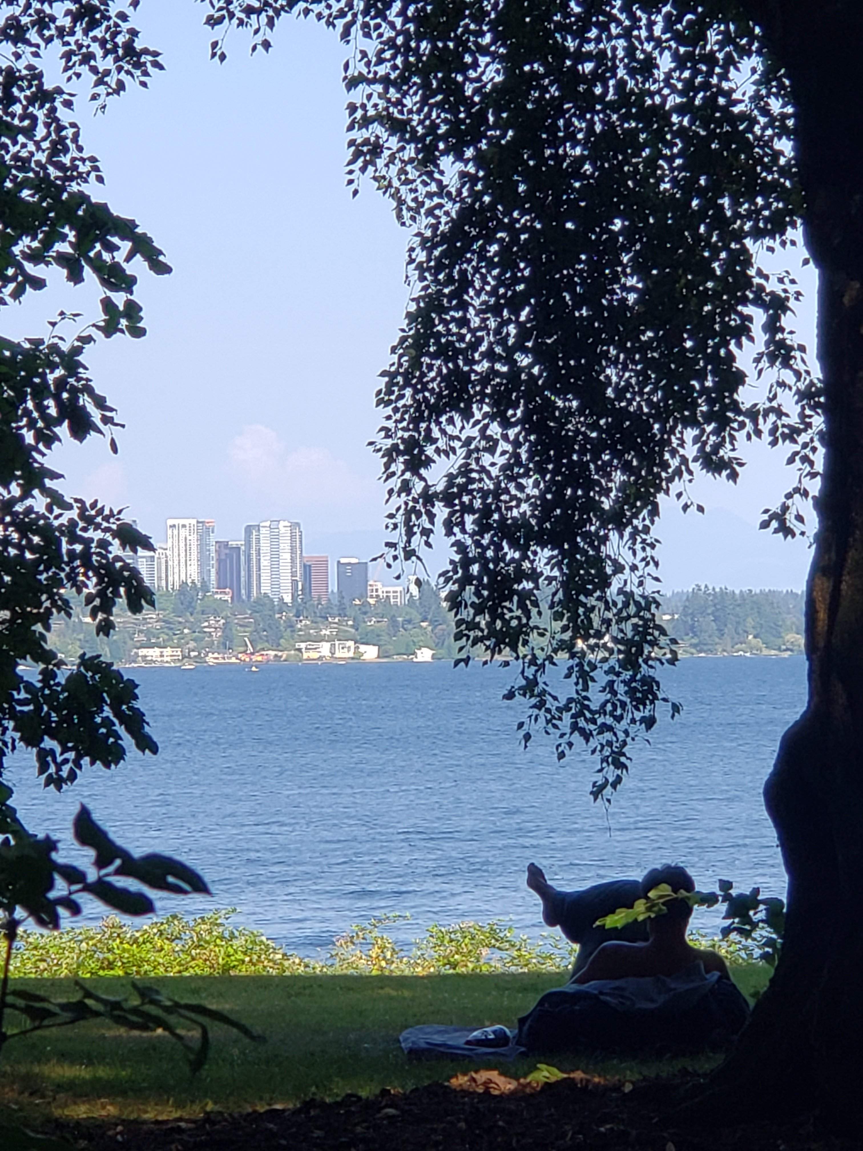 20190805_164148.jpg