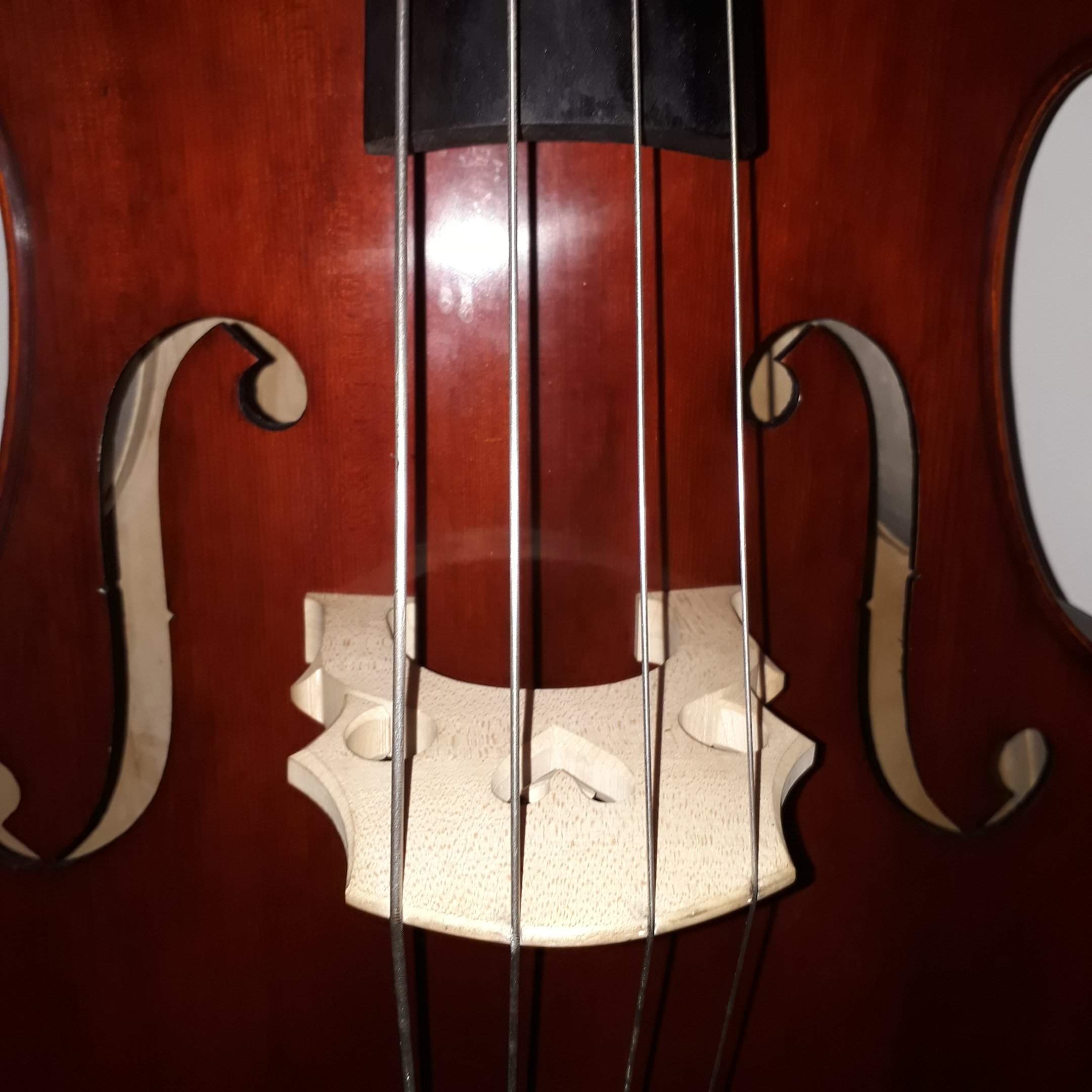20190809_201741.jpg