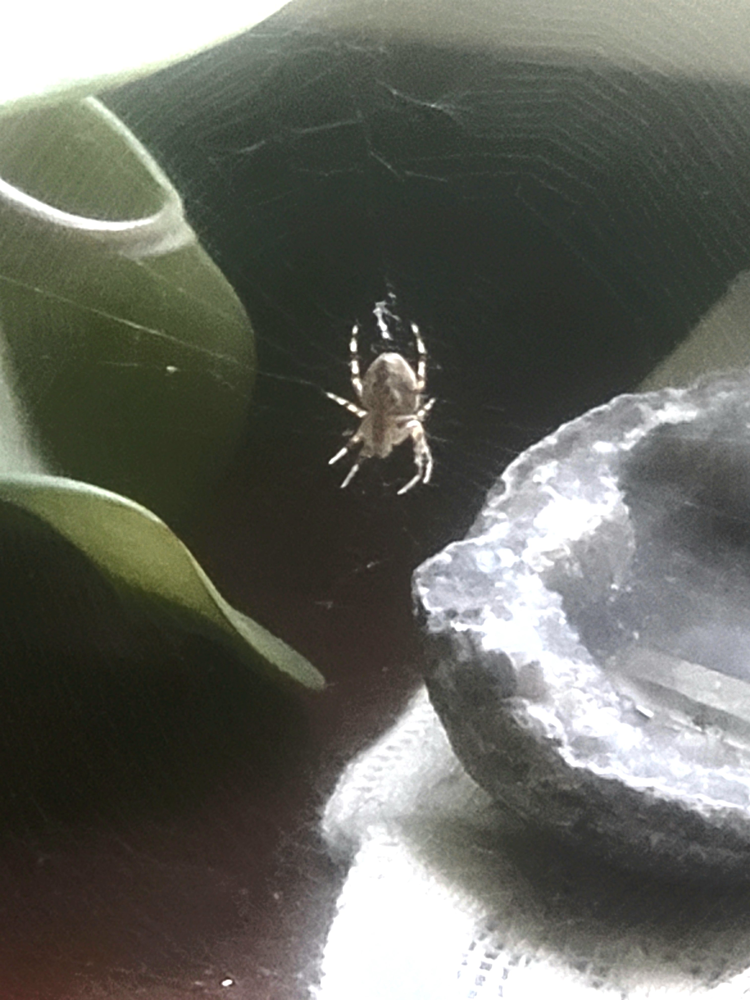 20190812_130347.jpg
