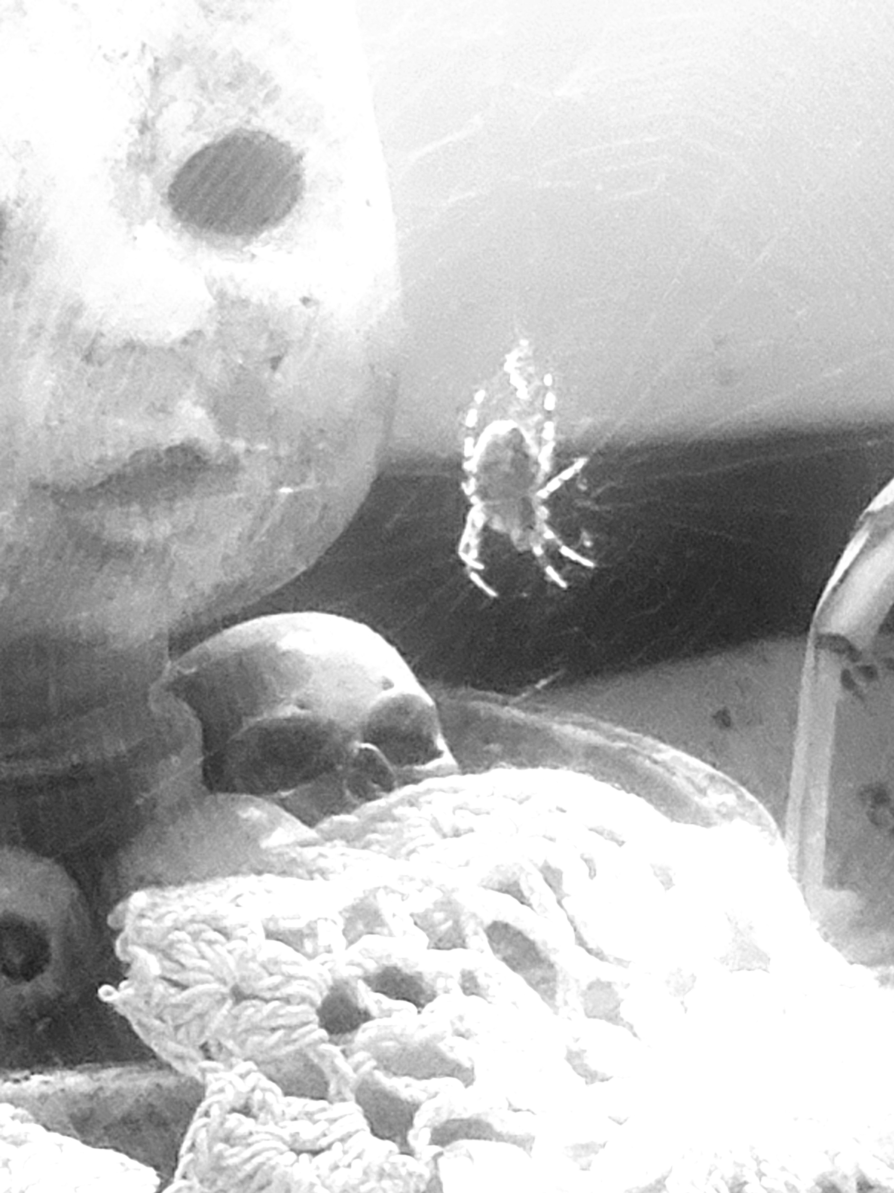 20190812_130411.jpg