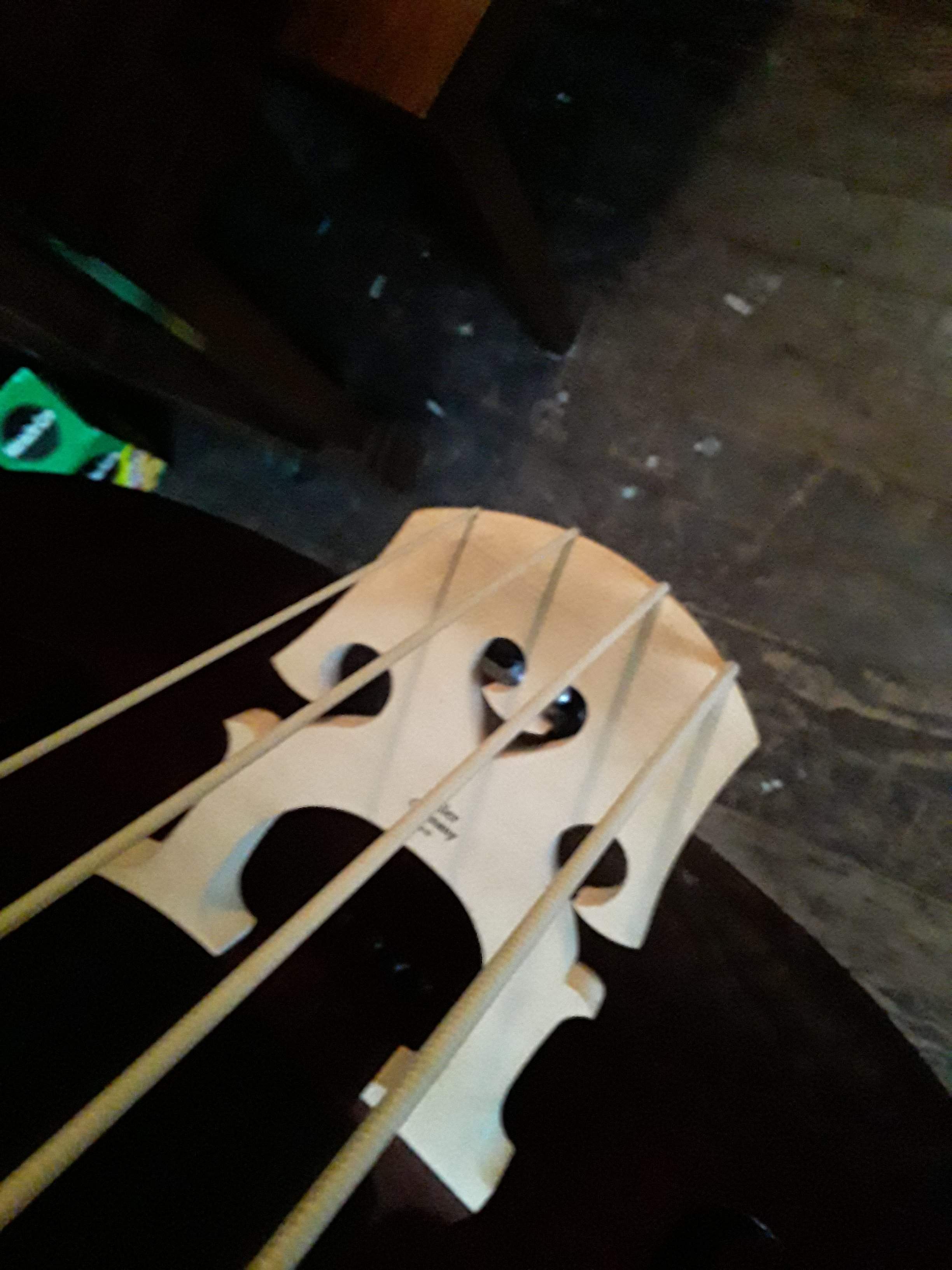 20190813_164357.jpg