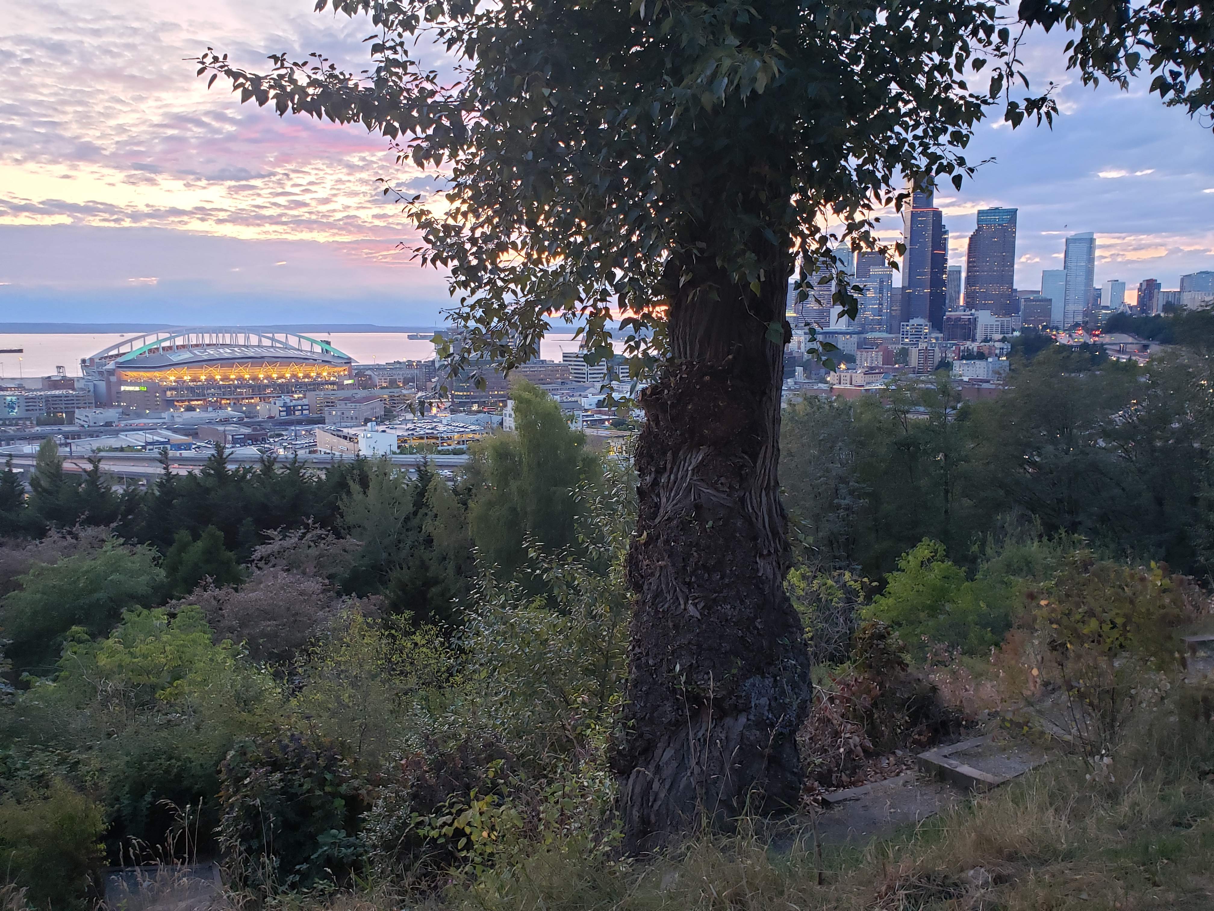 20190814_203341.jpg