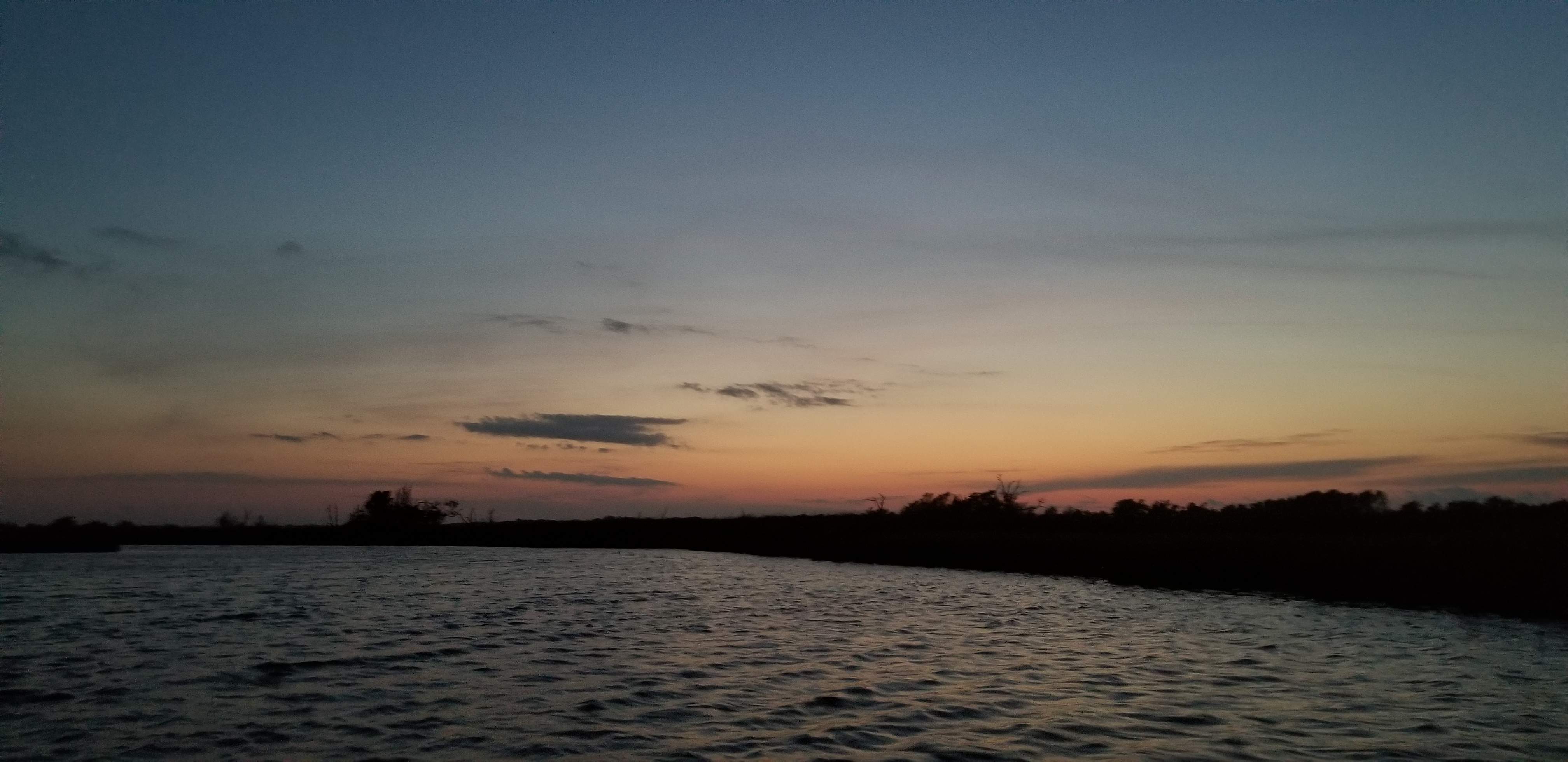20190818_202533.jpg