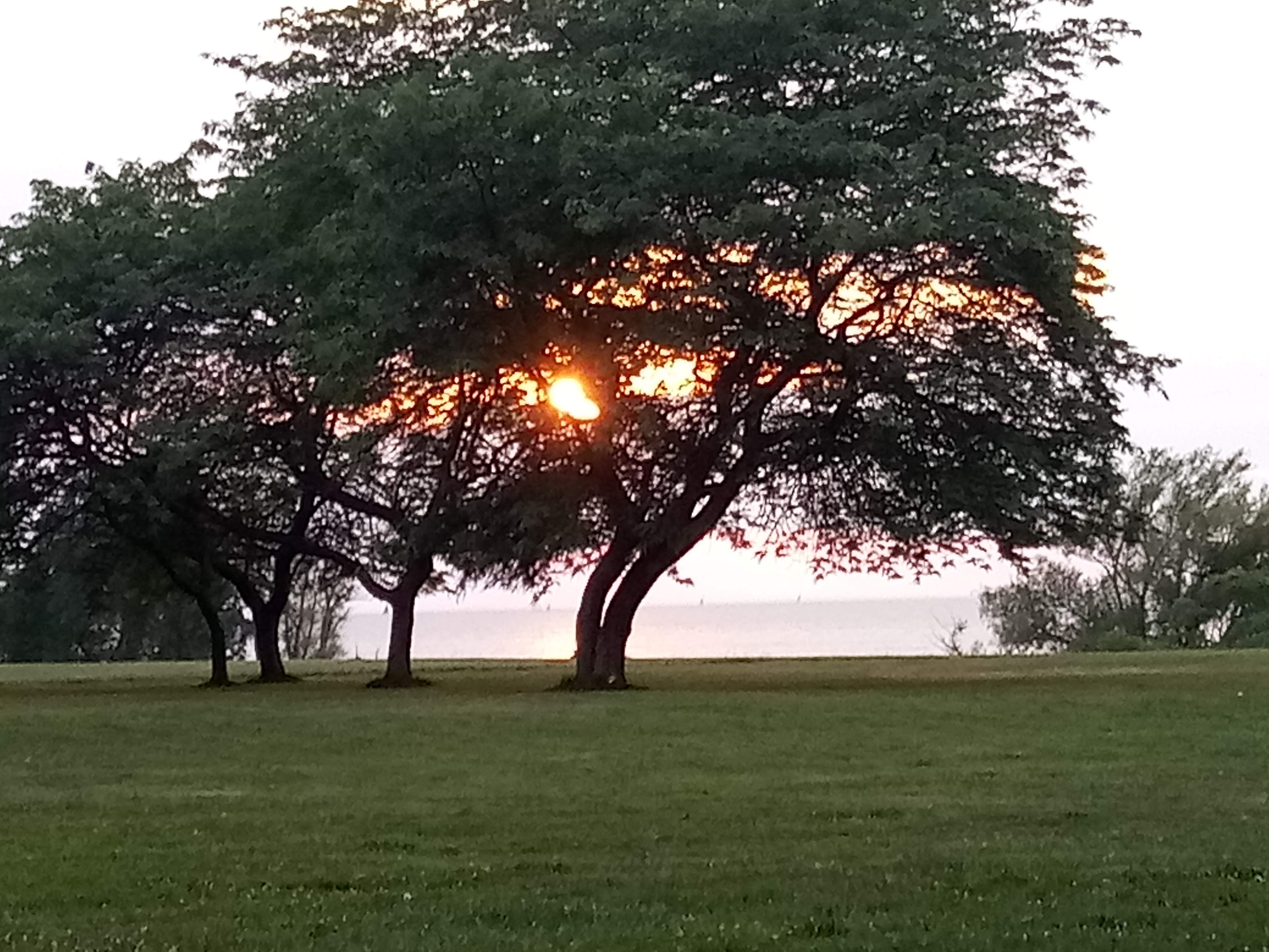 20190821_195102.jpg