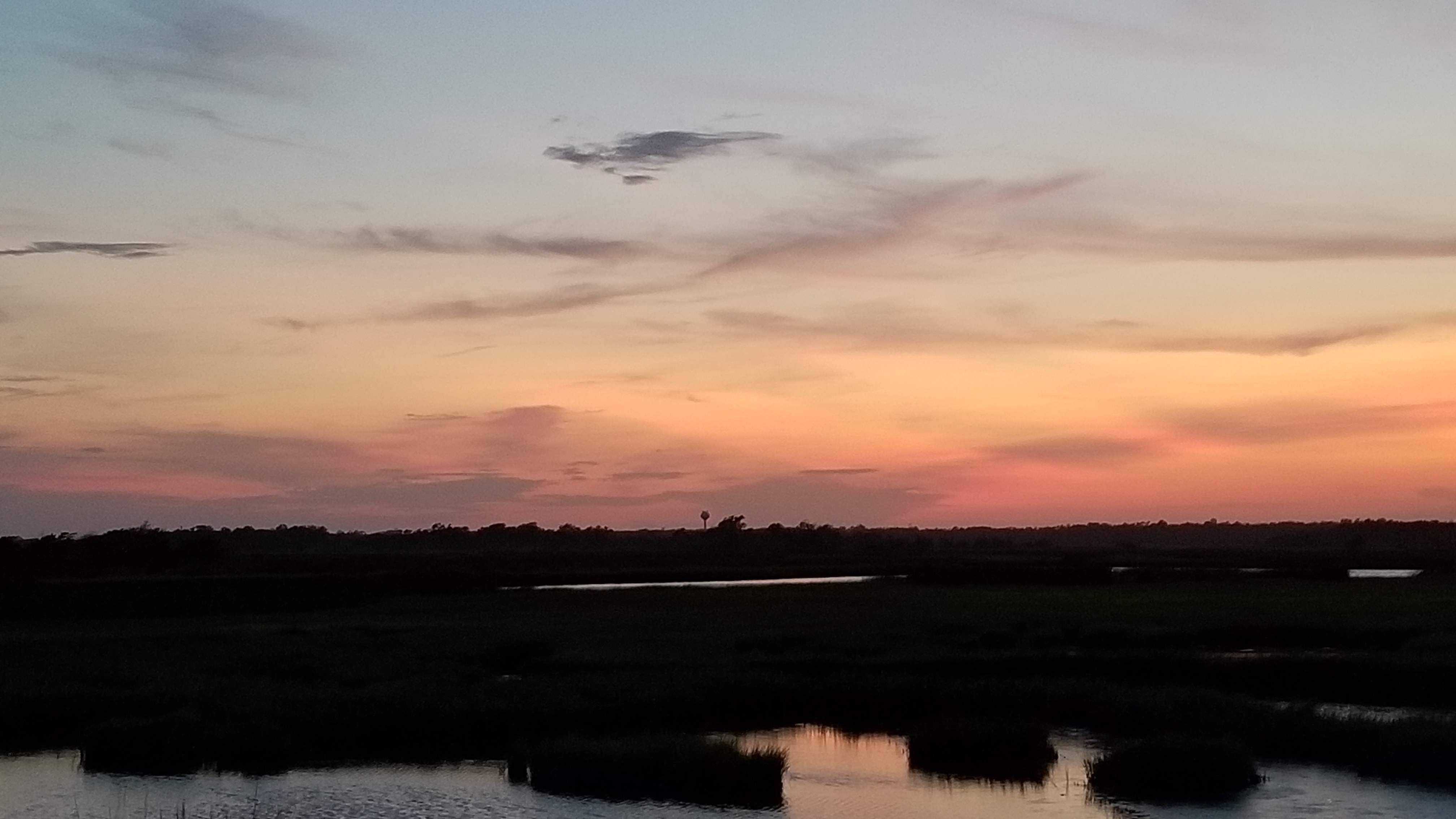 20190821_201036.jpg