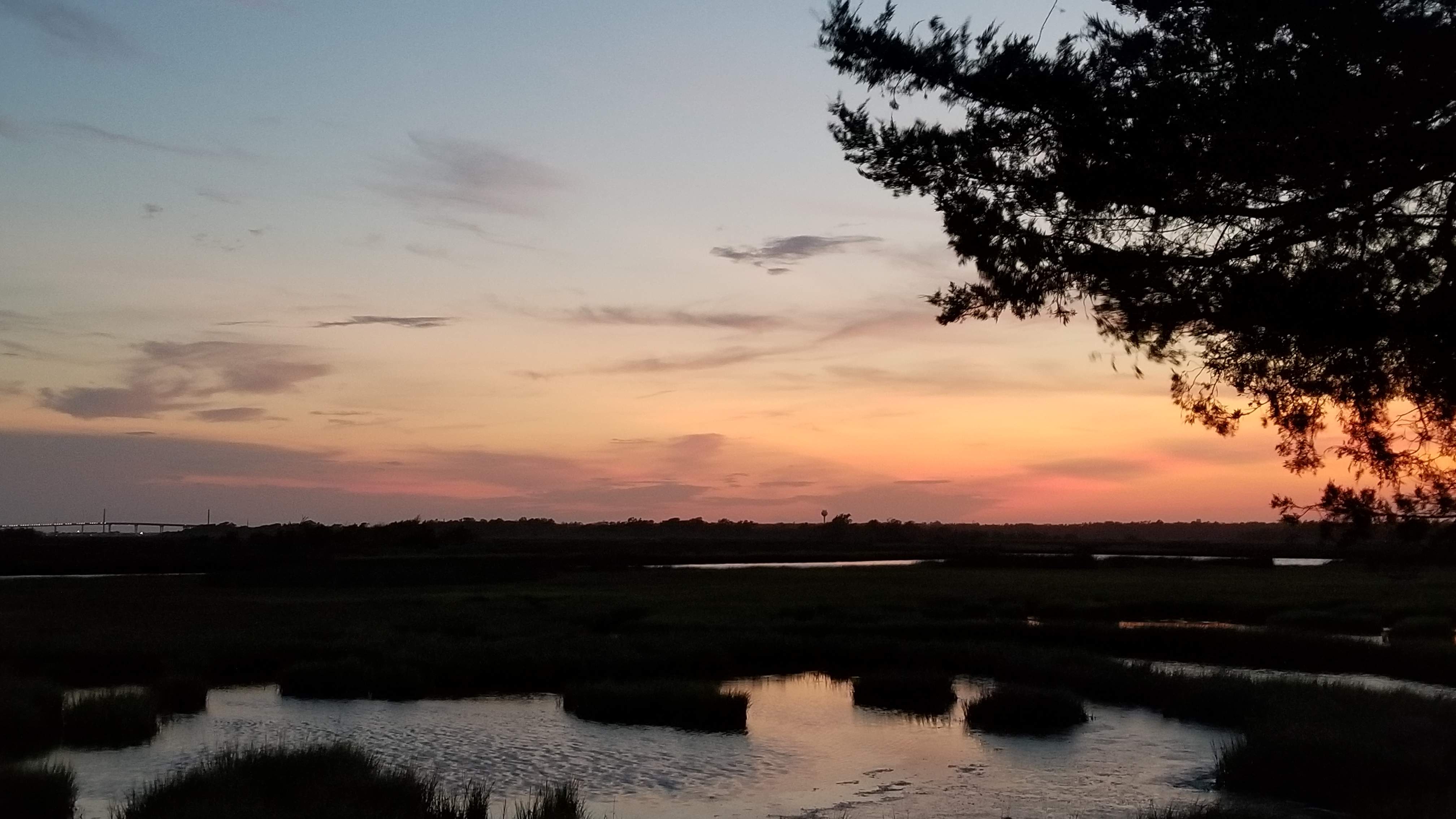 20190821_201058.jpg
