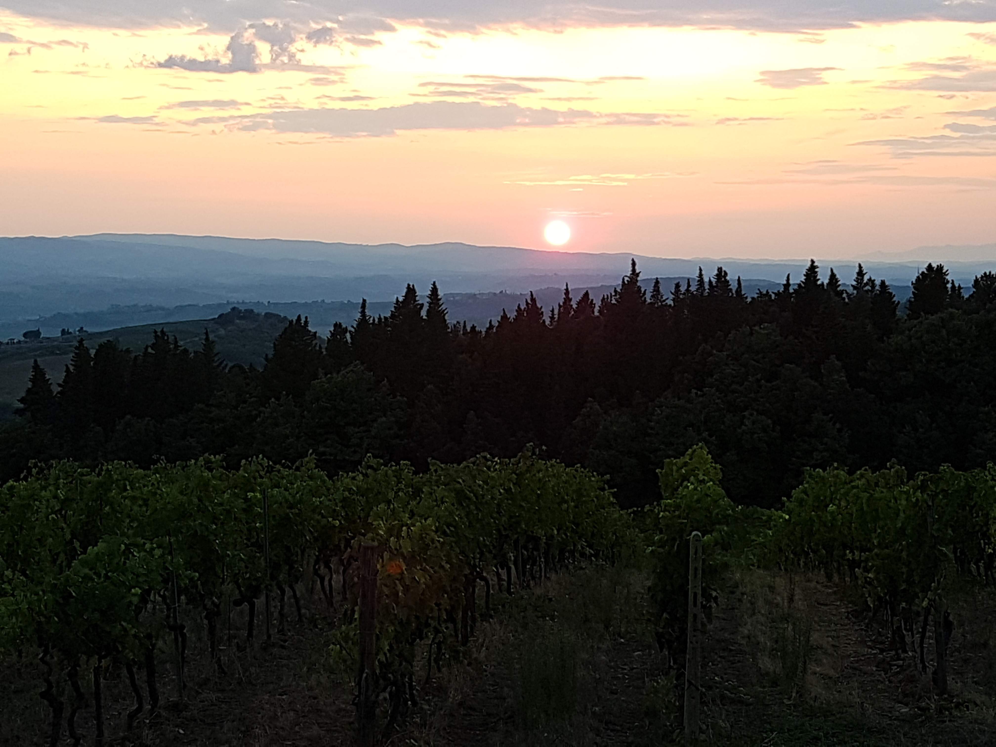 20190824_195957.jpg