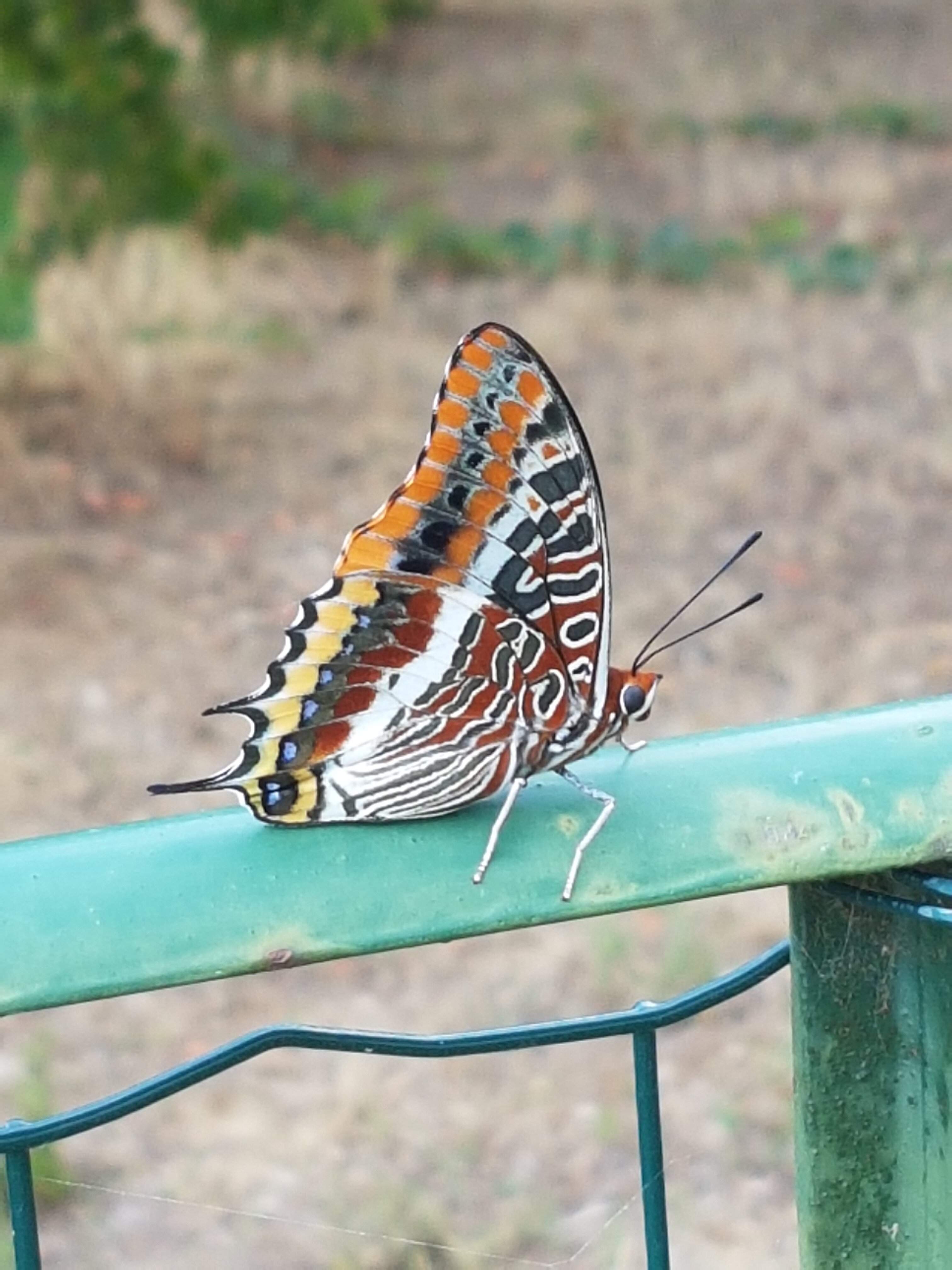 20190825_143040.jpg