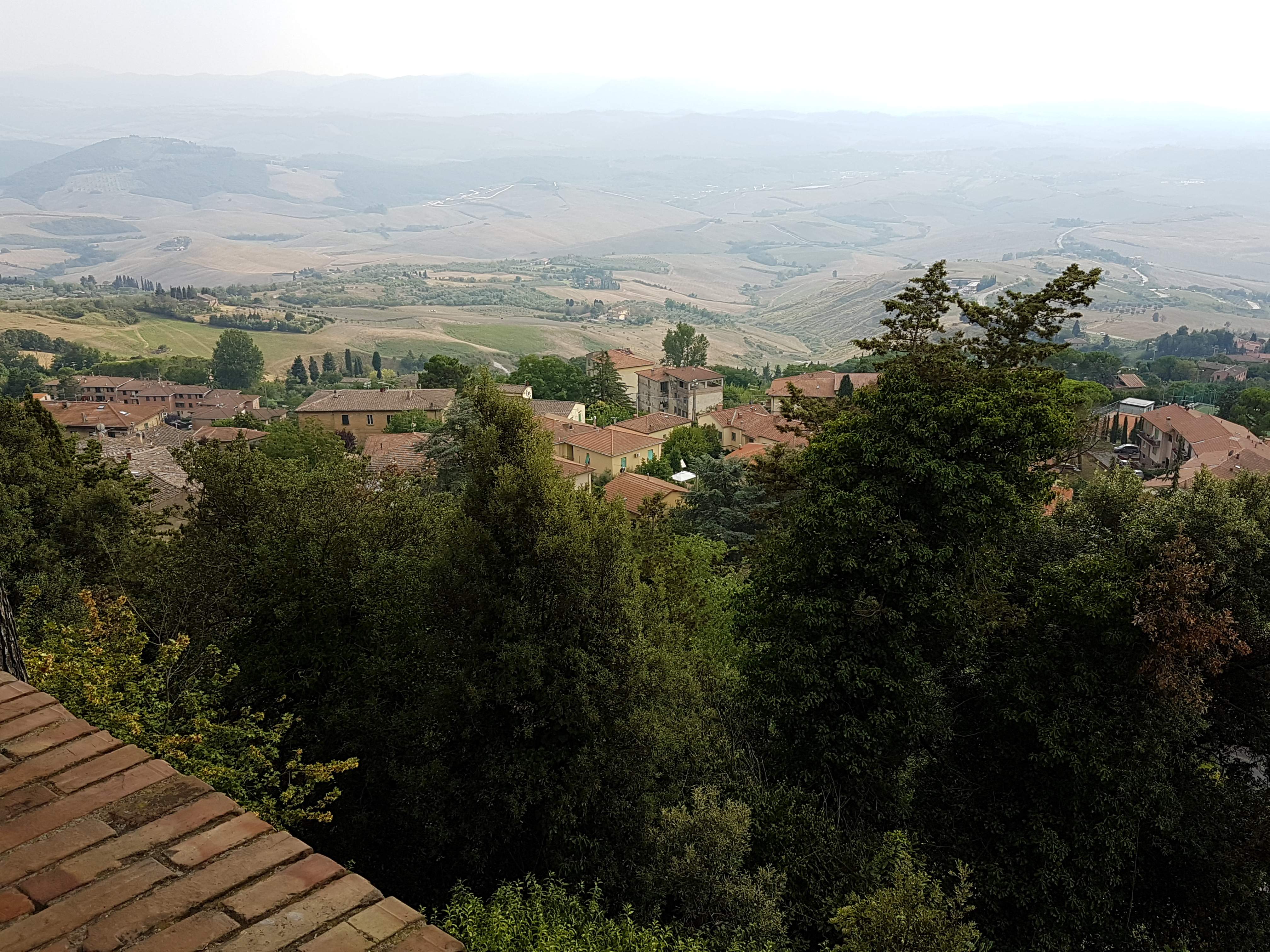 20190827_164305.jpg