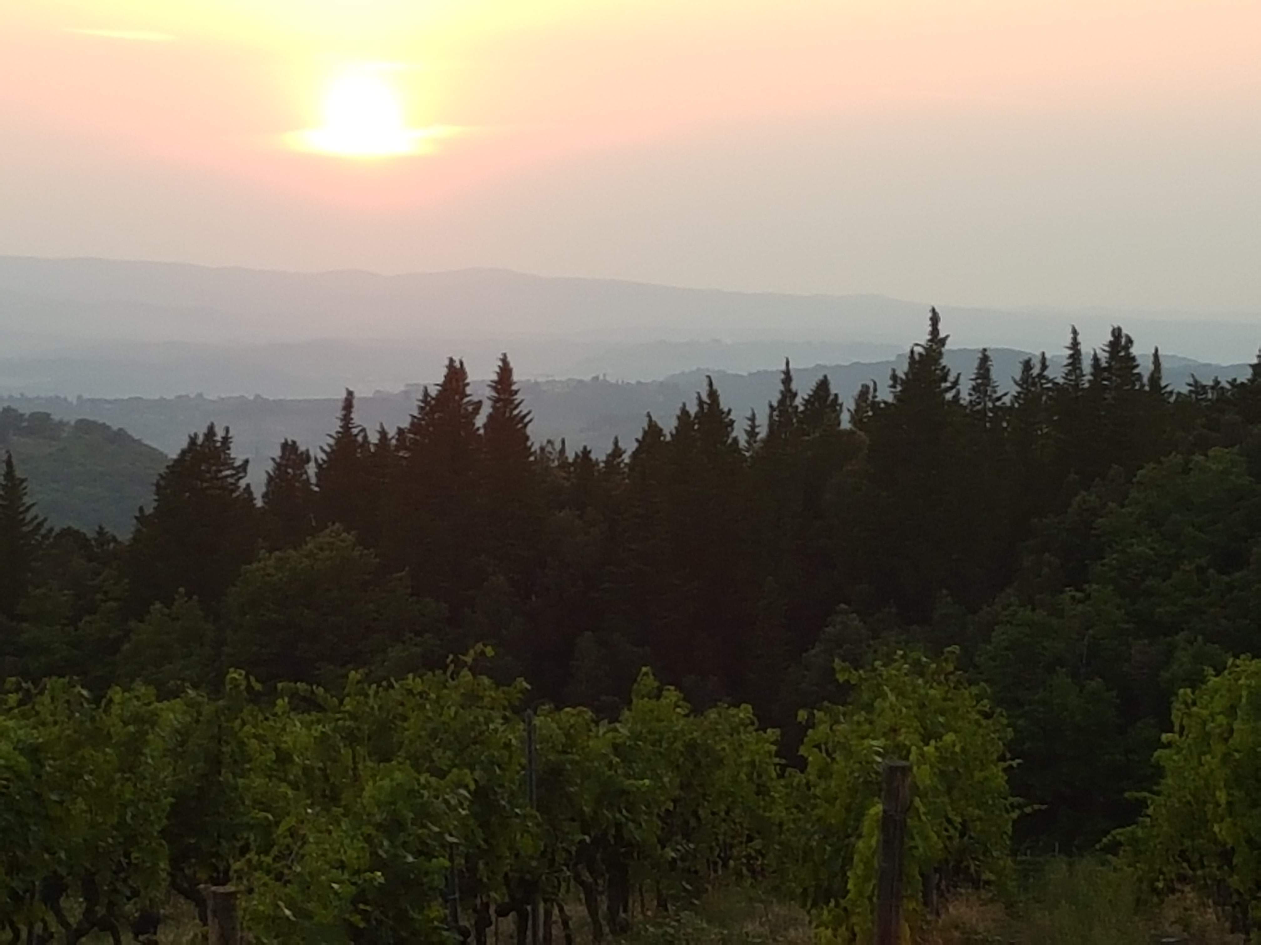 20190830_193948.jpg