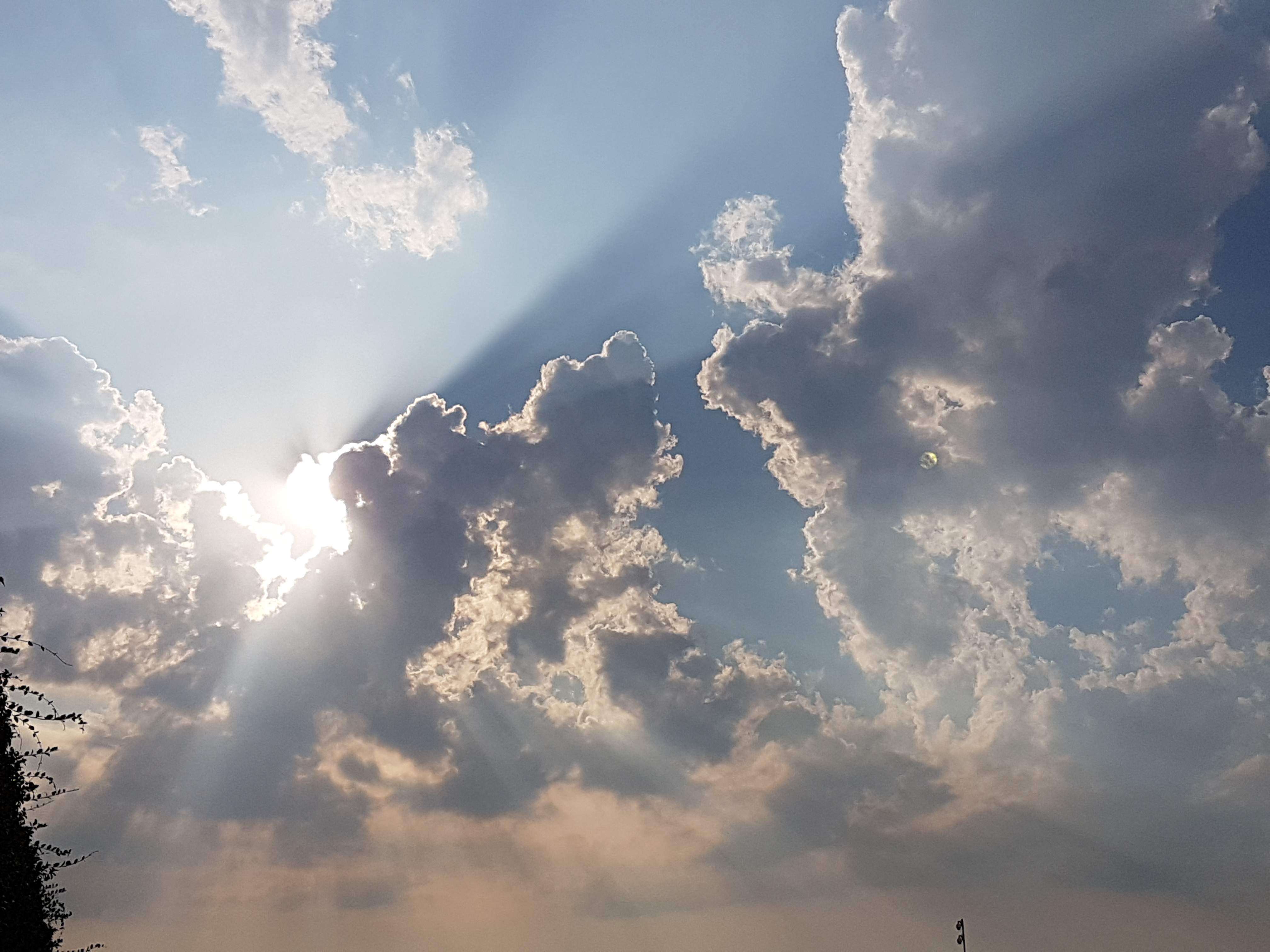 20190831_175706.jpg