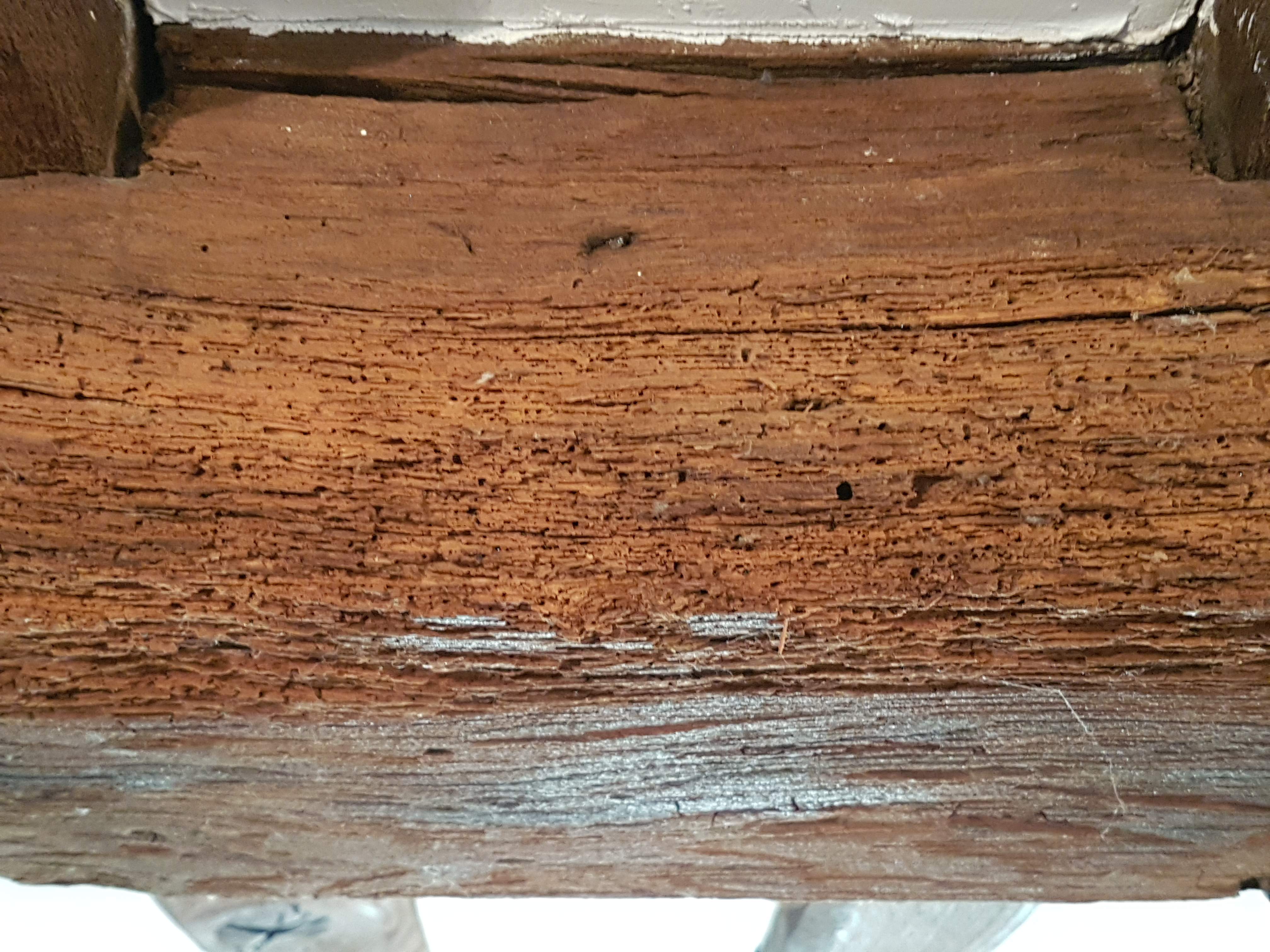 20190901_185050.jpg