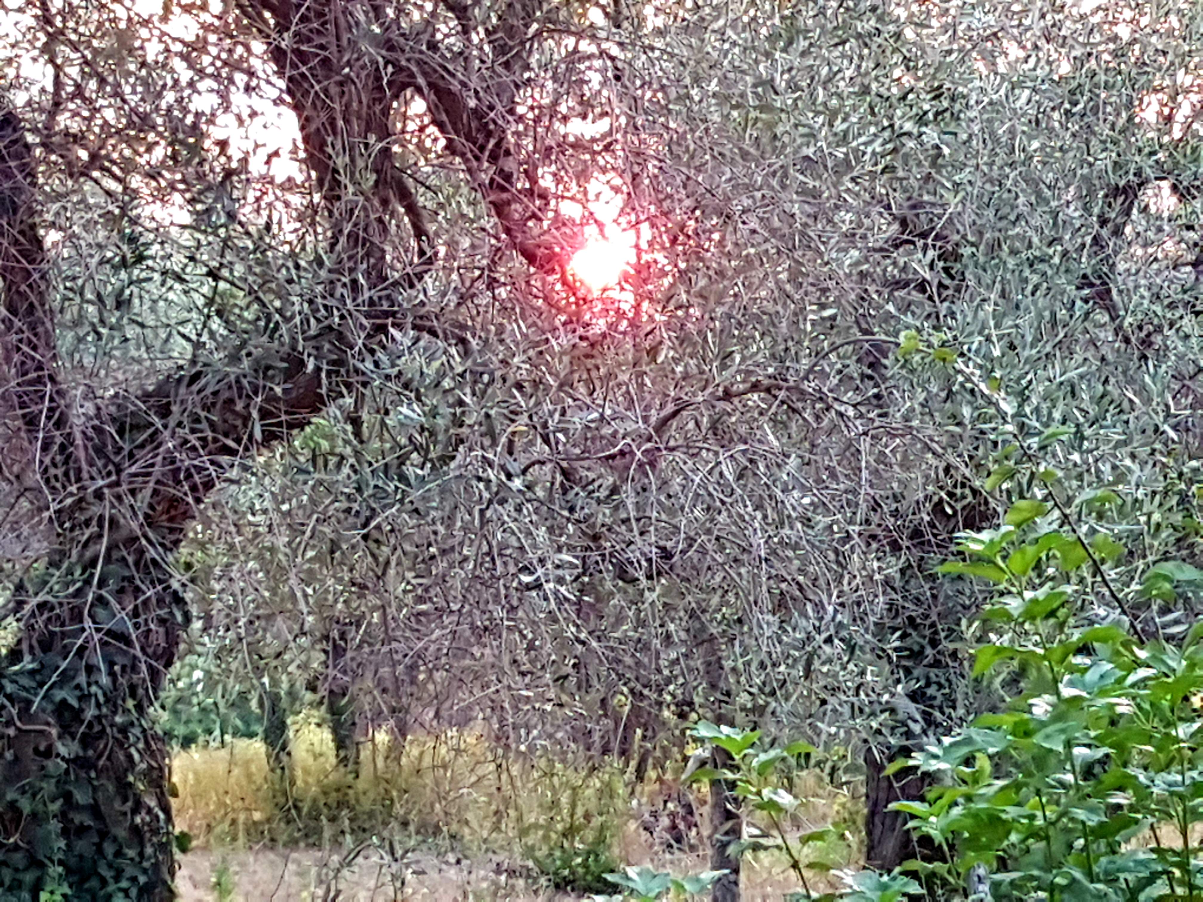 20190904_161747.jpg