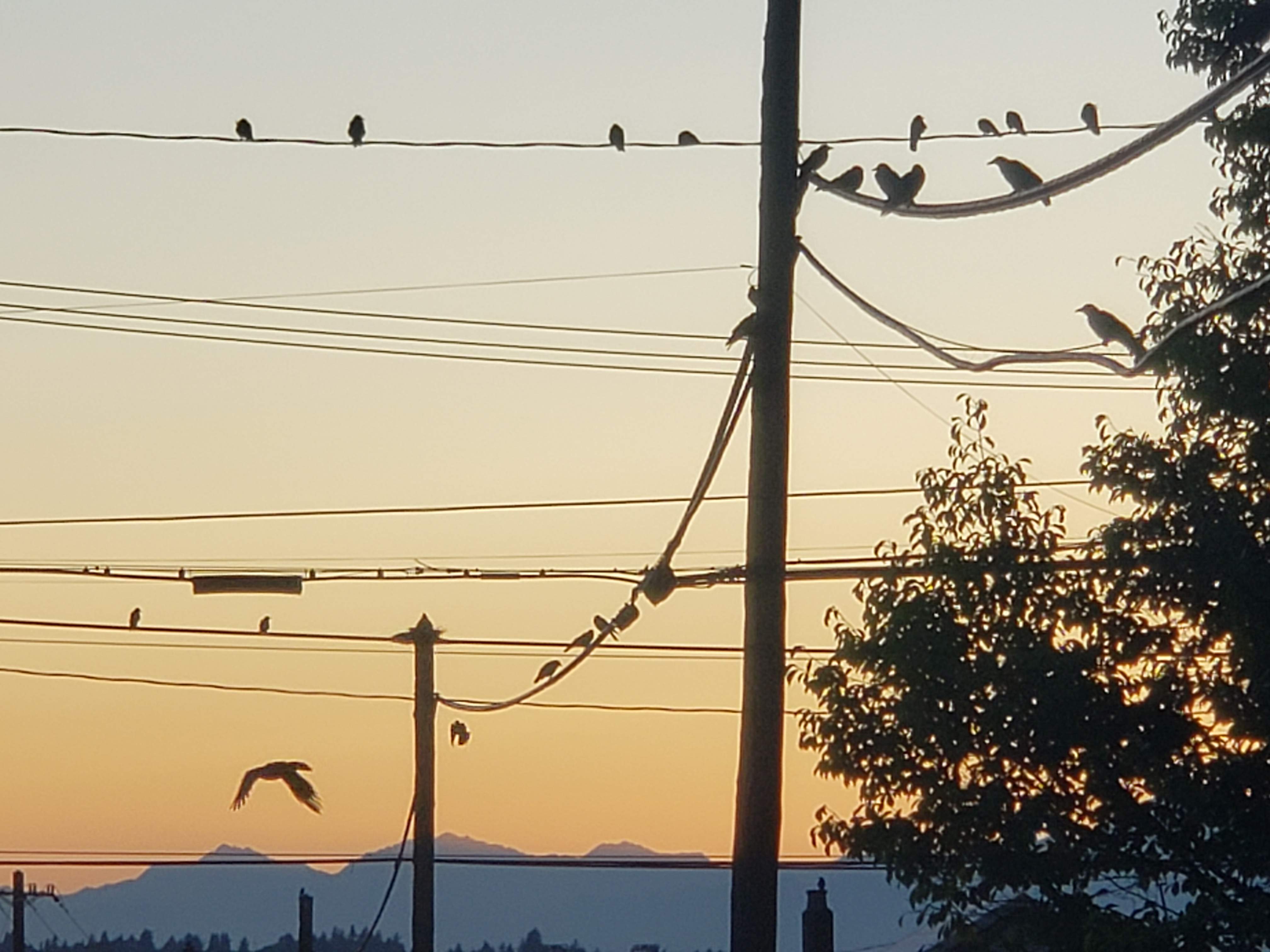 20190904_193534.jpg