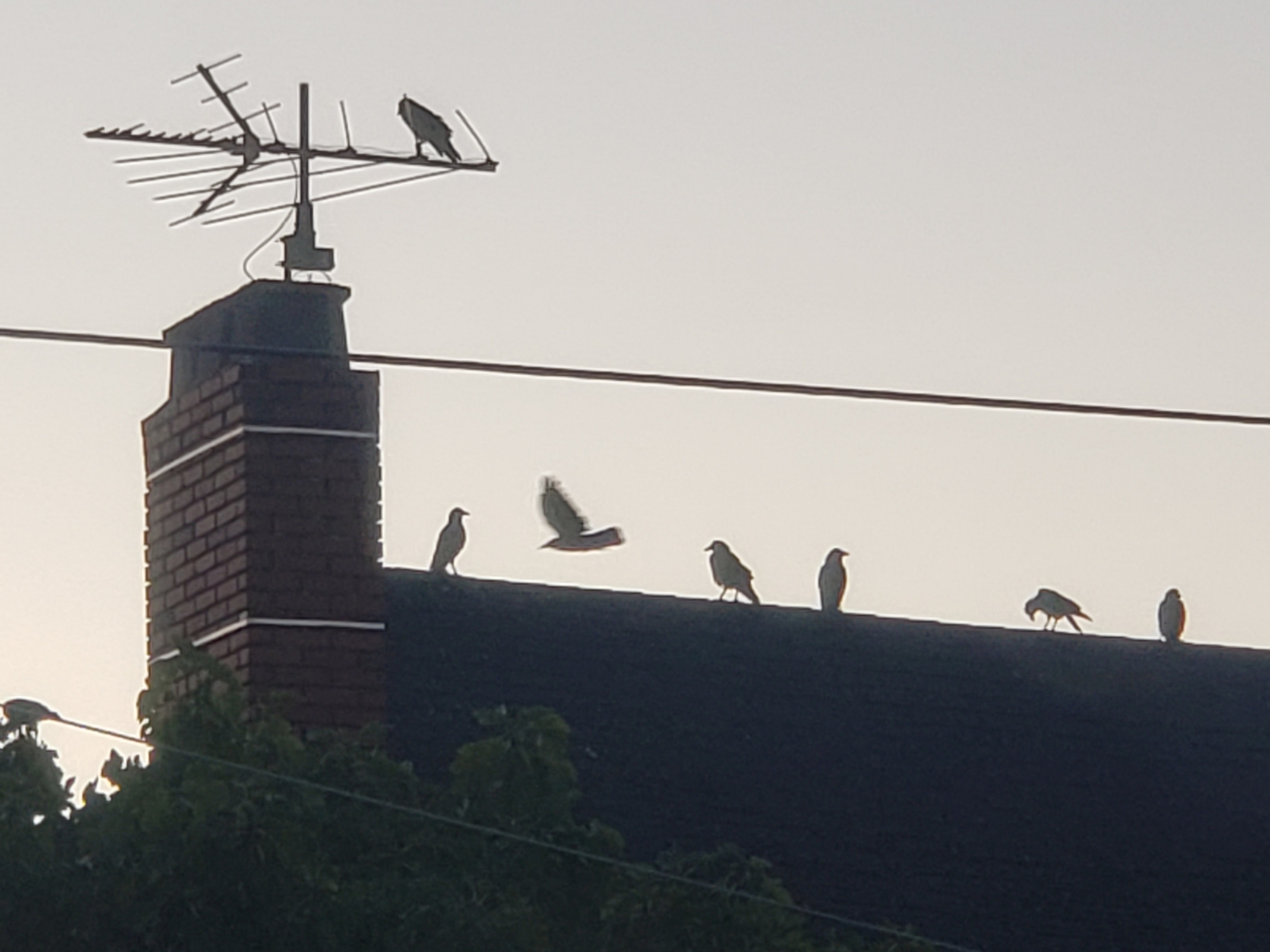20190904_193743.jpg