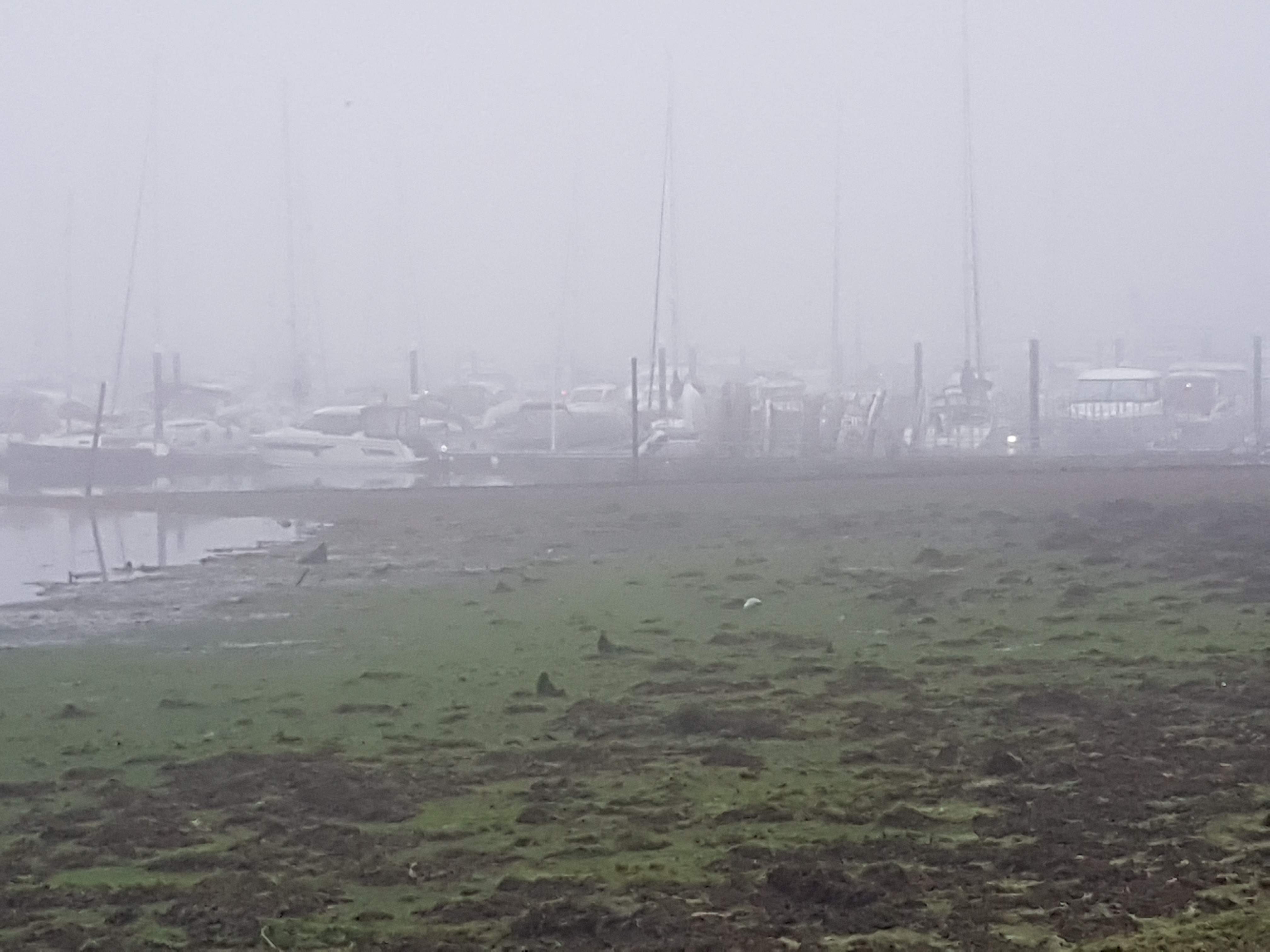20190910_062907.jpg