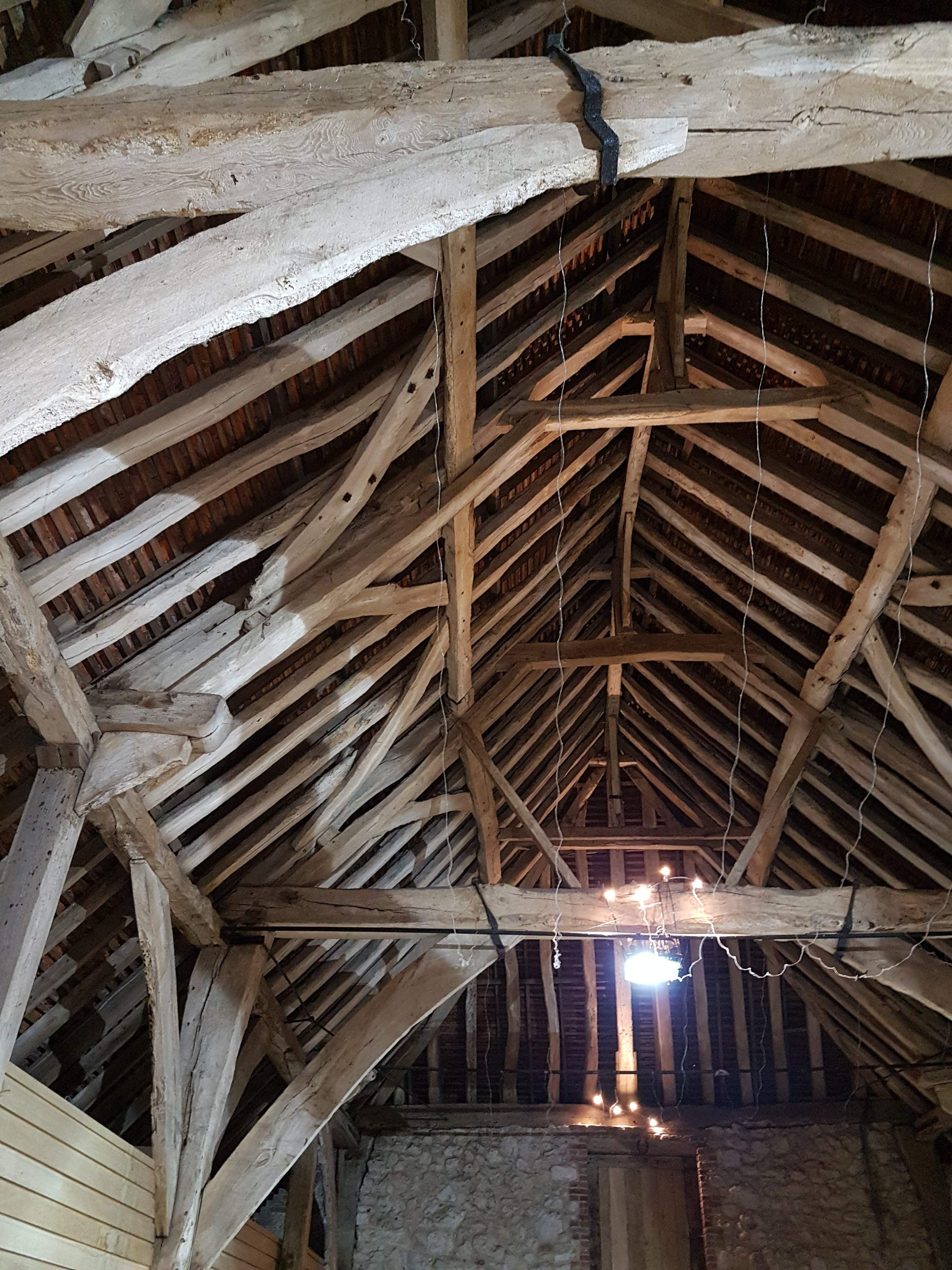 20190910_071208.jpg