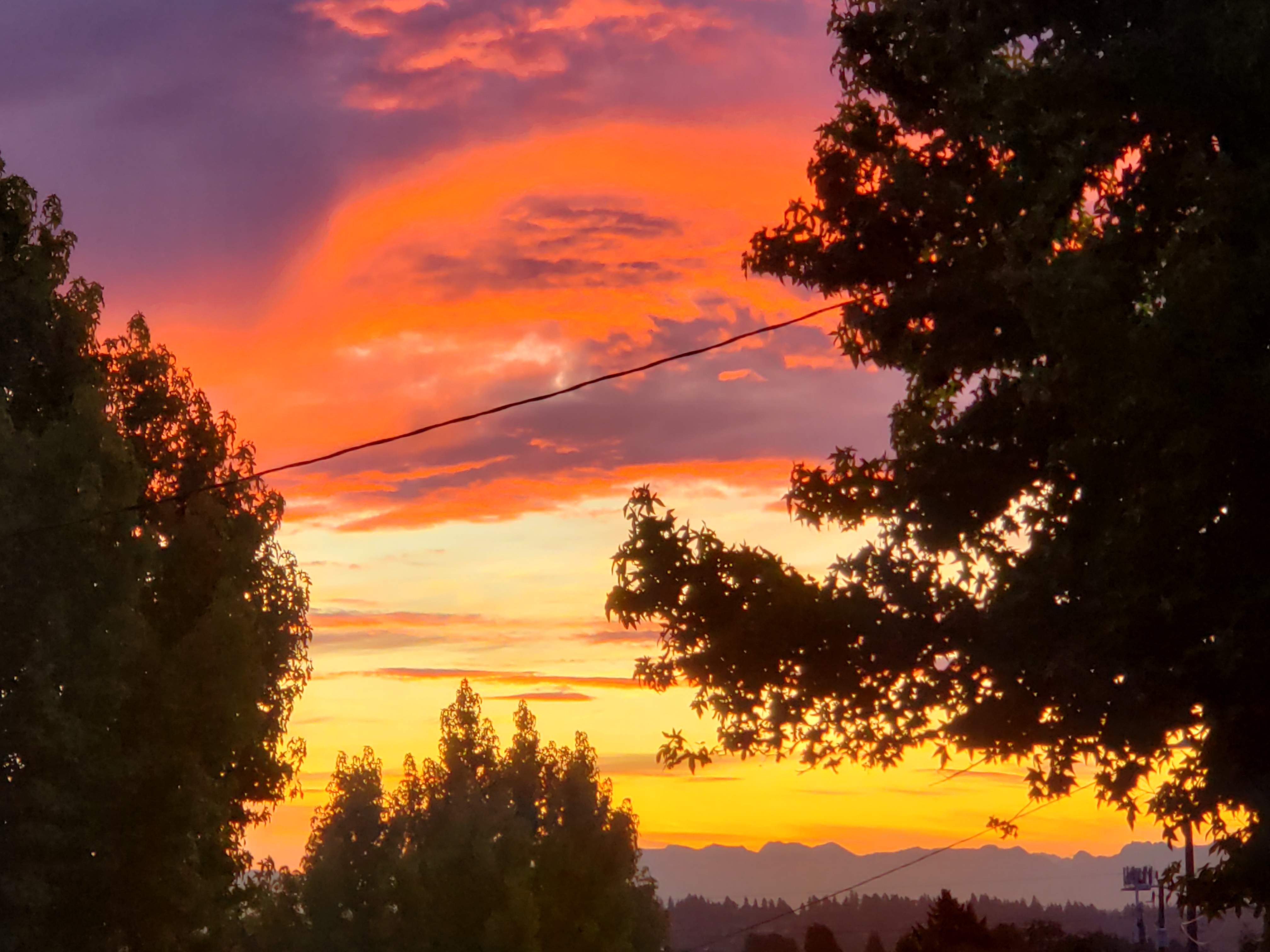 20190912_063641.jpg