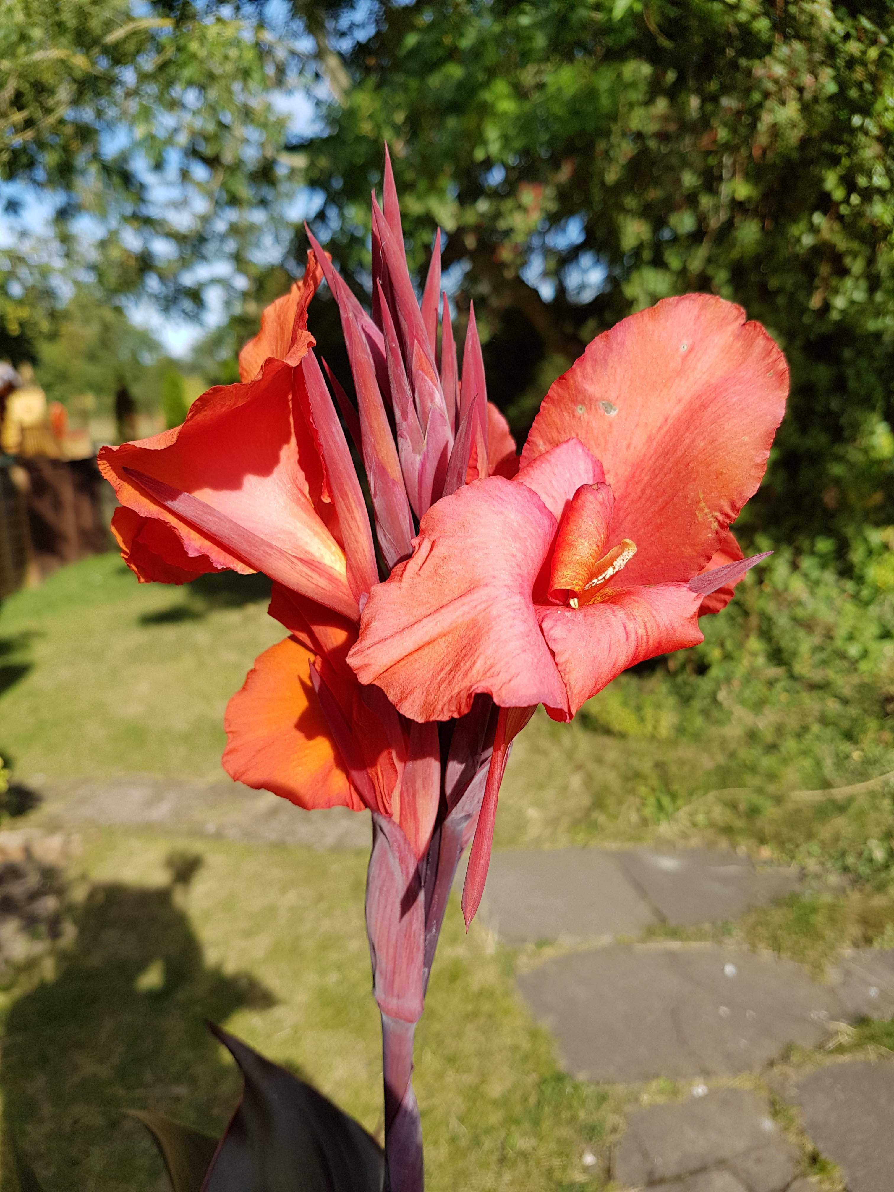 20190914_162237.jpg