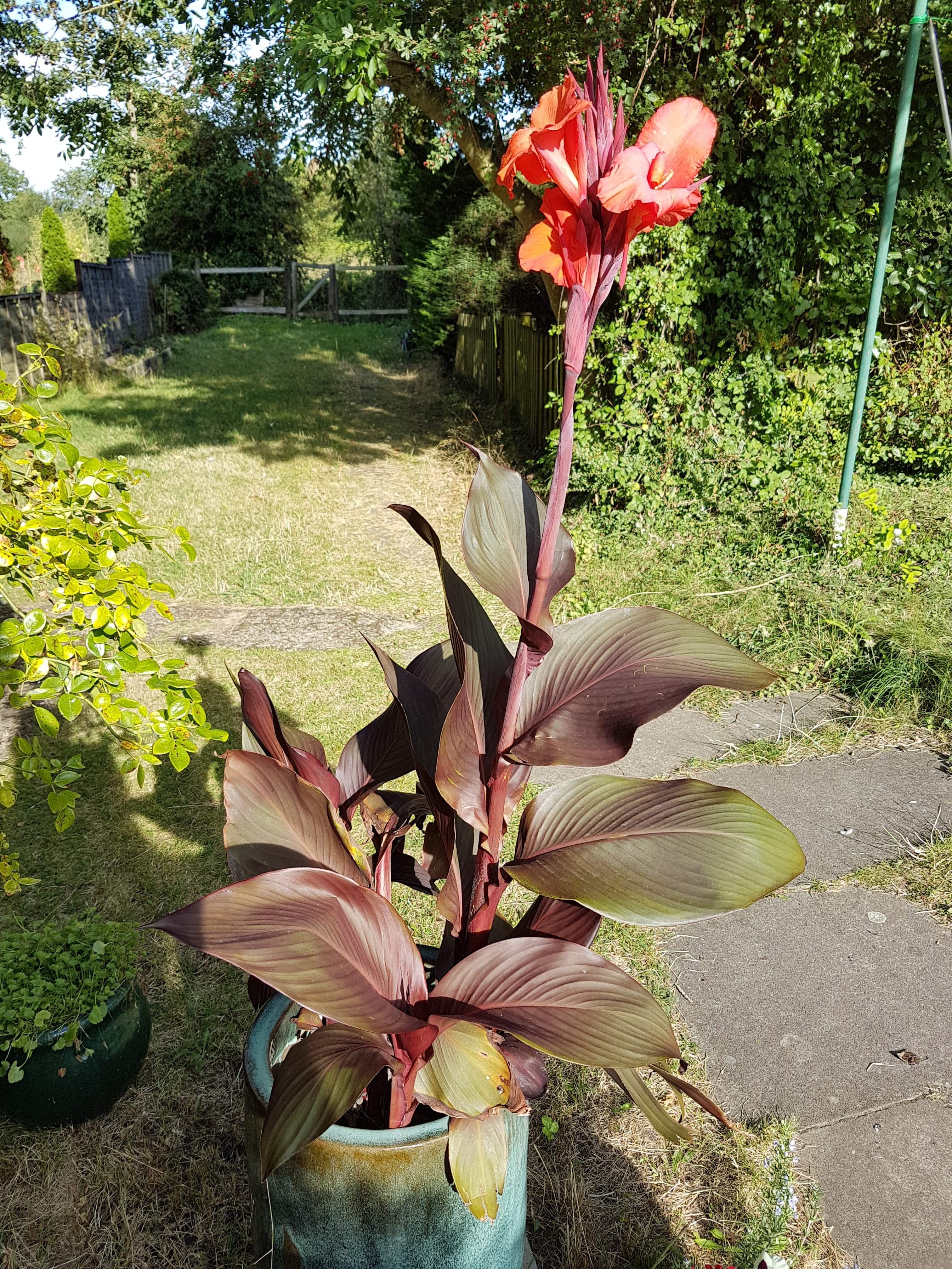 20190914_163233.jpg
