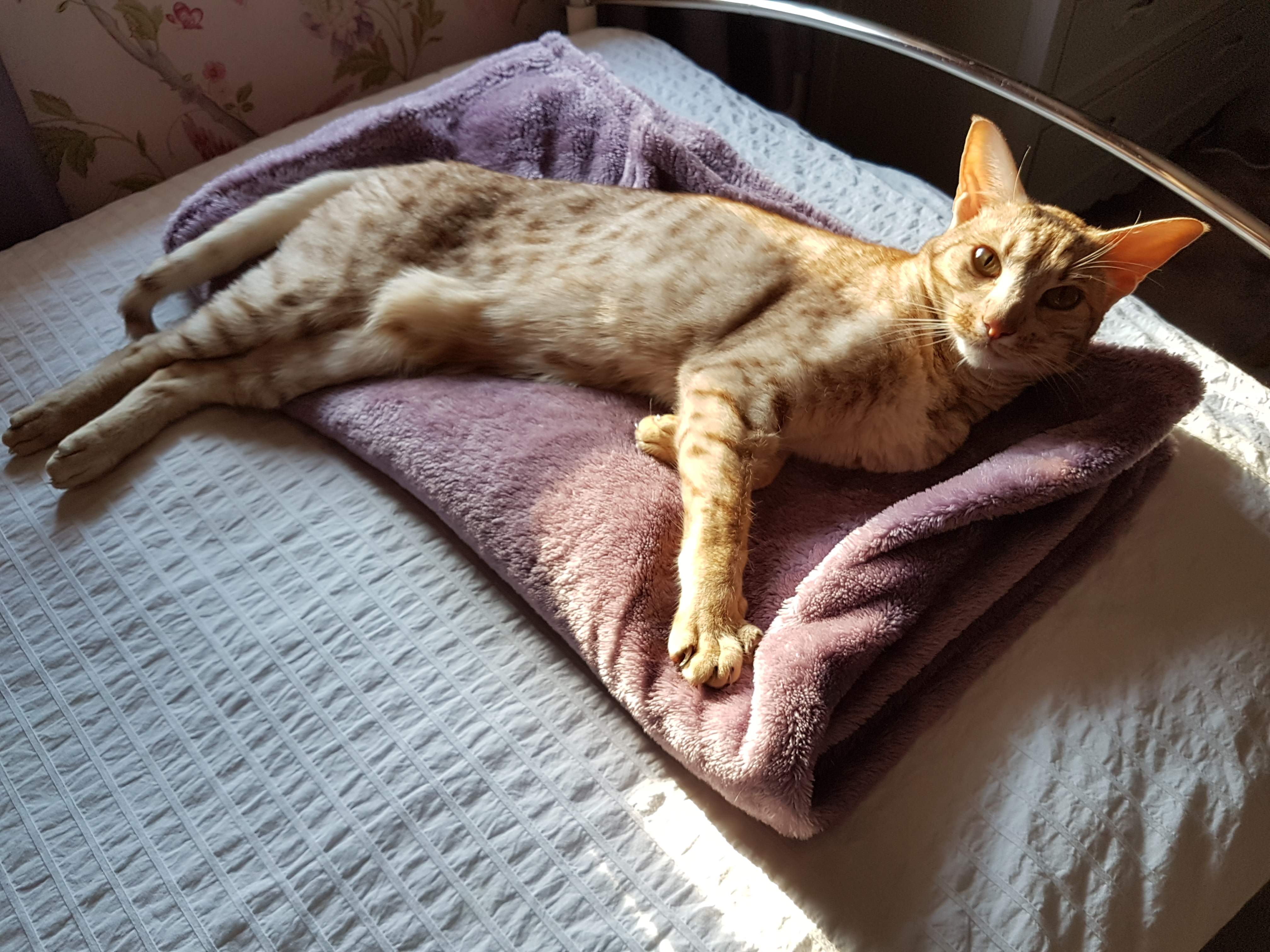 20190915_171331.jpg