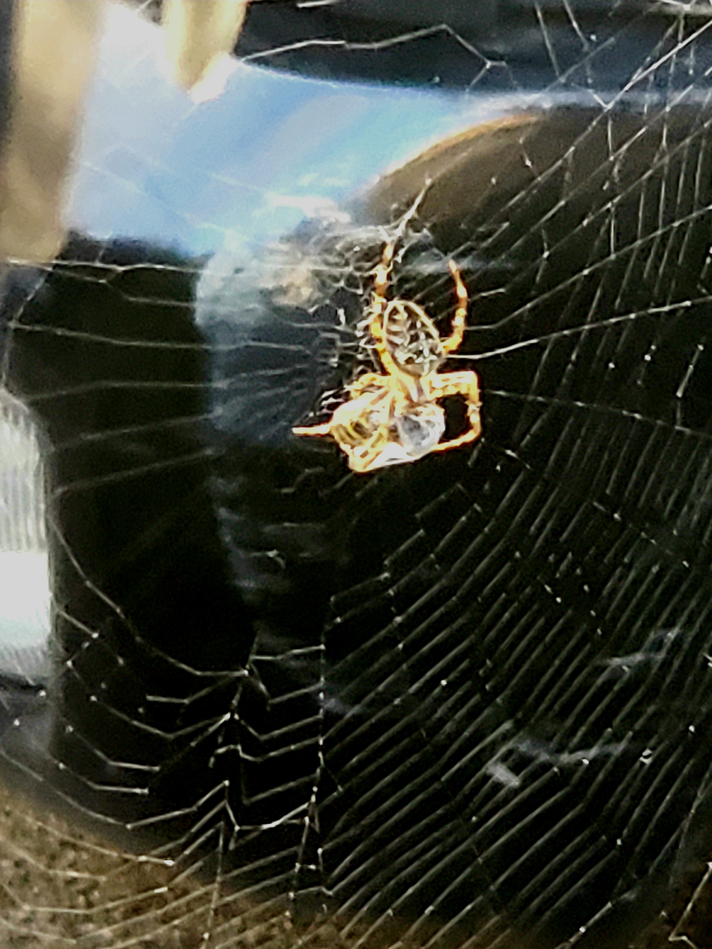 20190916_211329.jpg