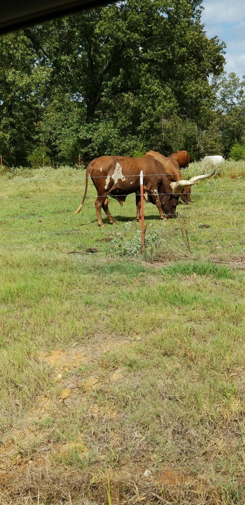 20190922_145453.jpg