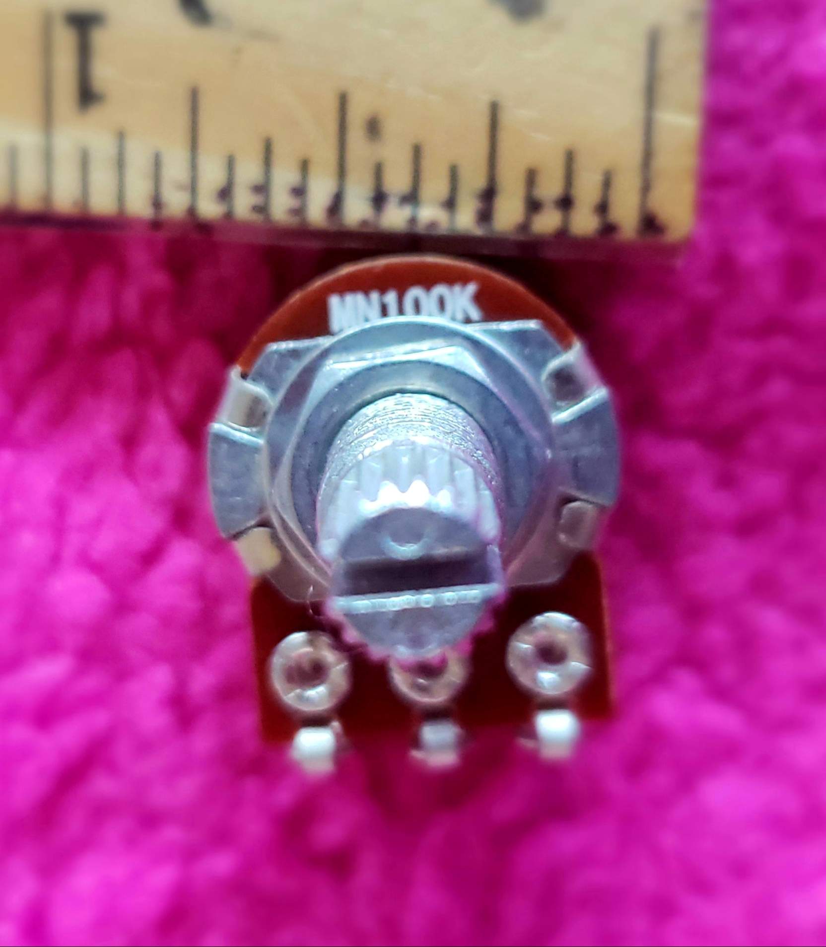 20190928_155841.jpg