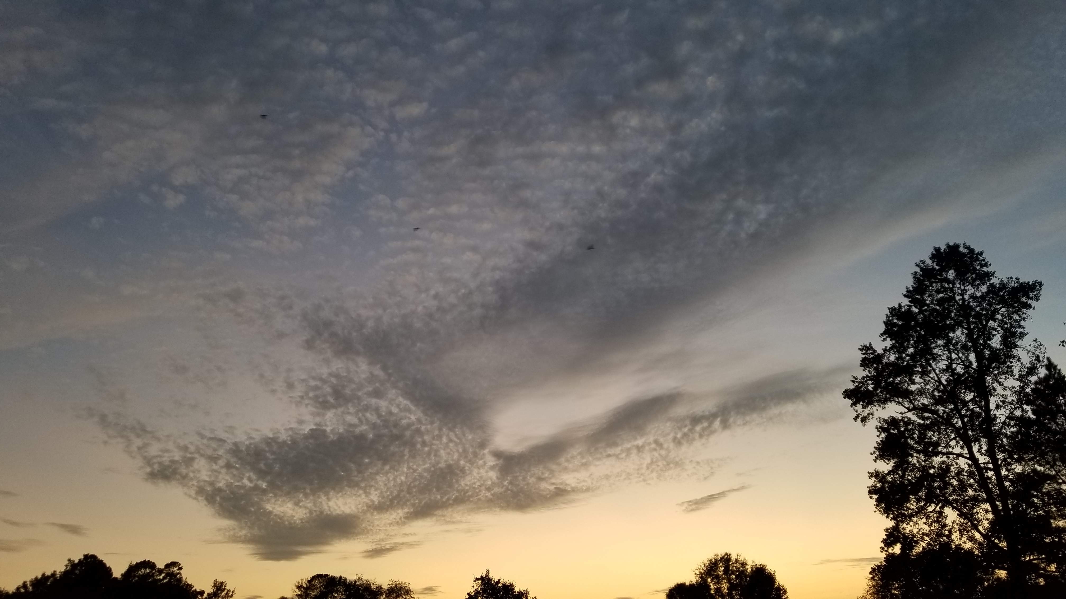 20191006_190104.jpg