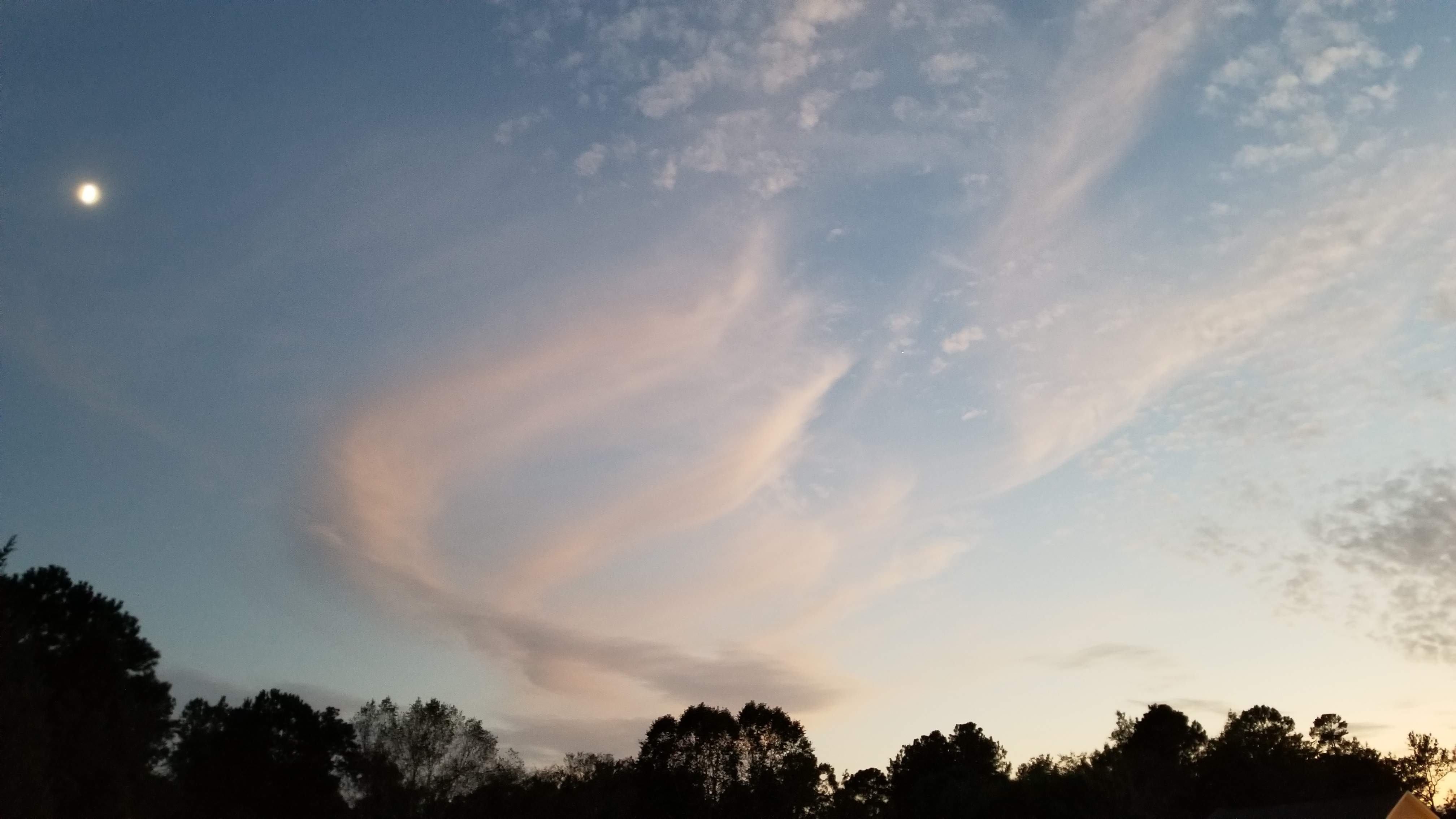 20191006_190721.jpg