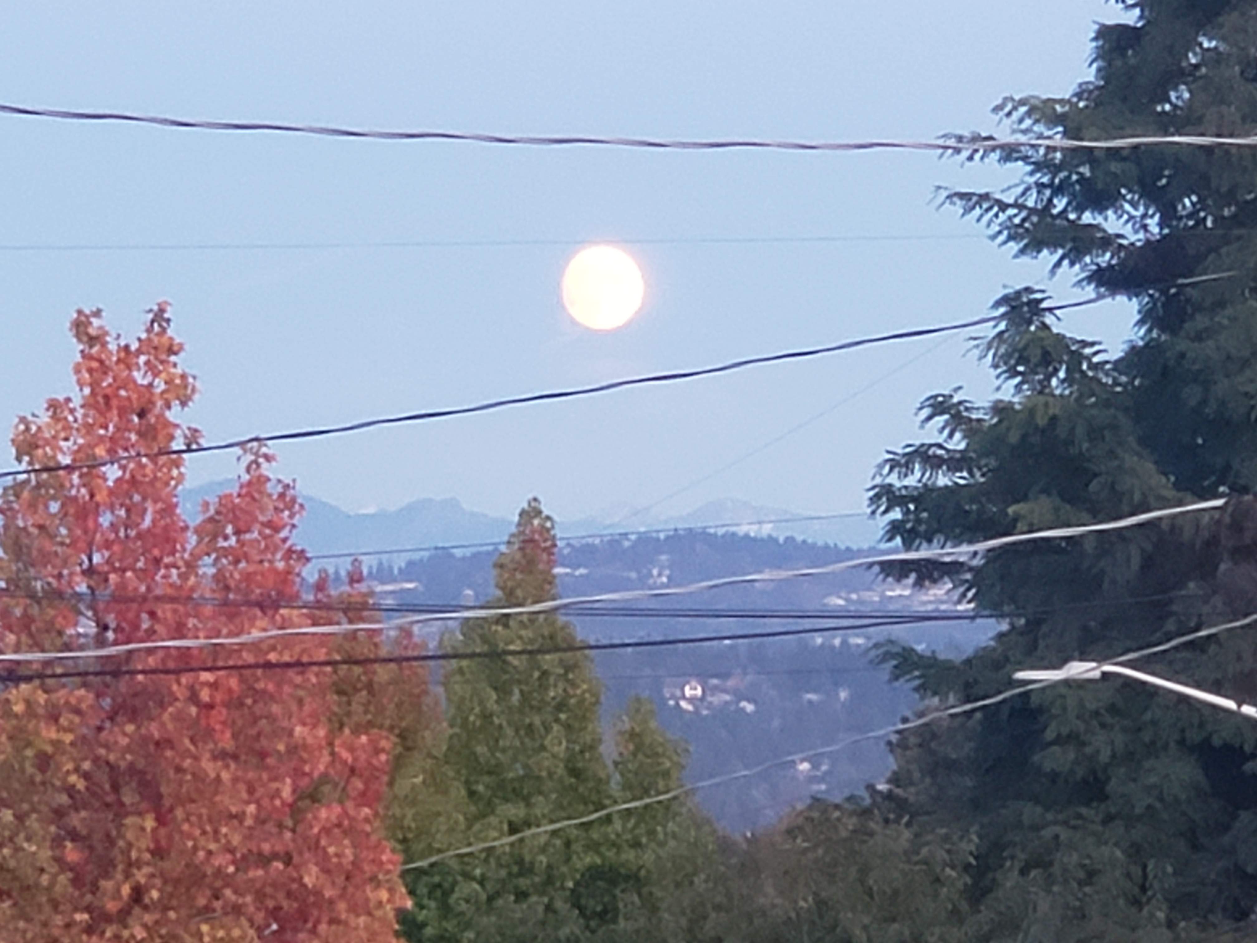 20191011_183155.jpg