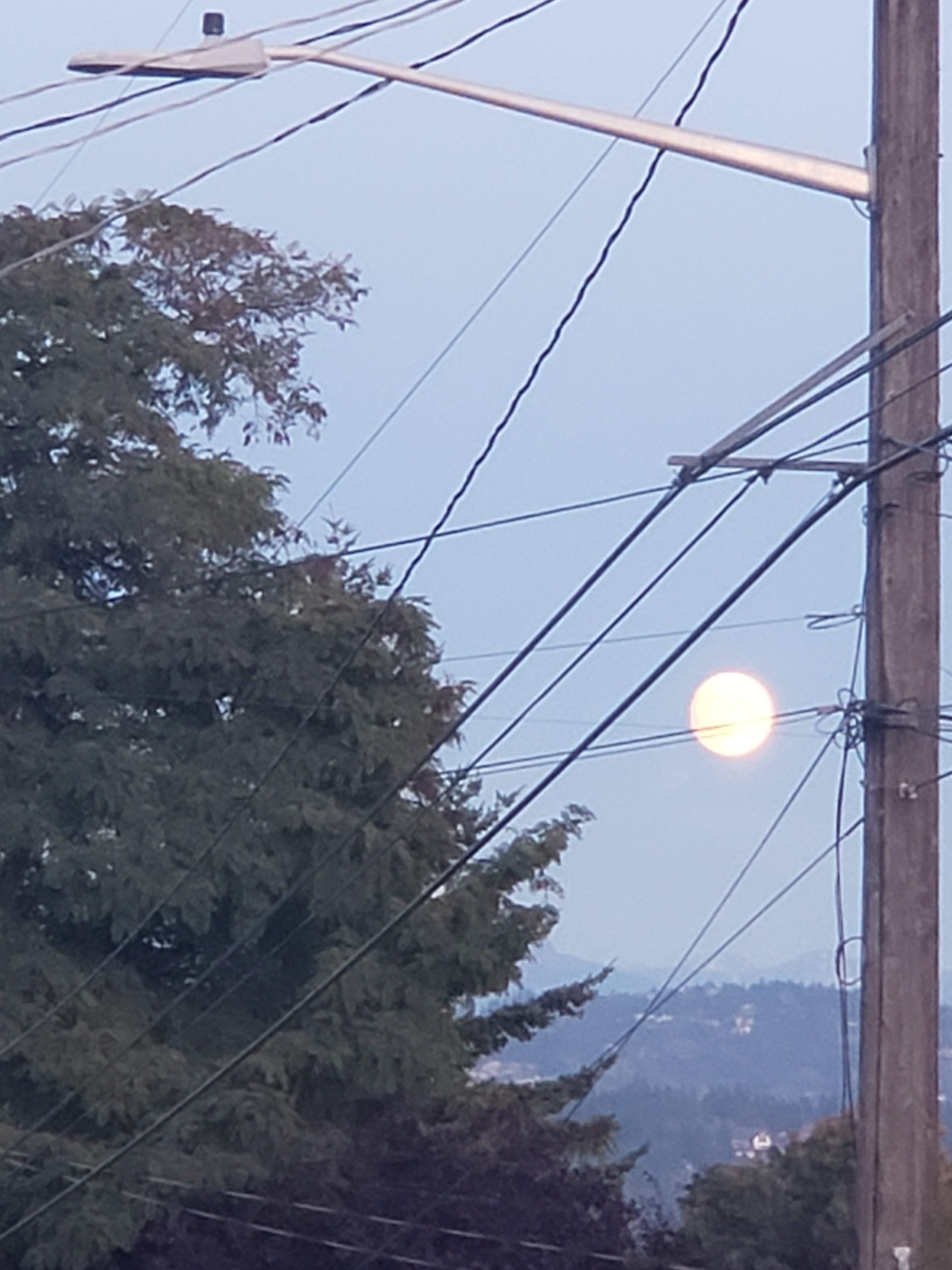 20191011_183240.jpg