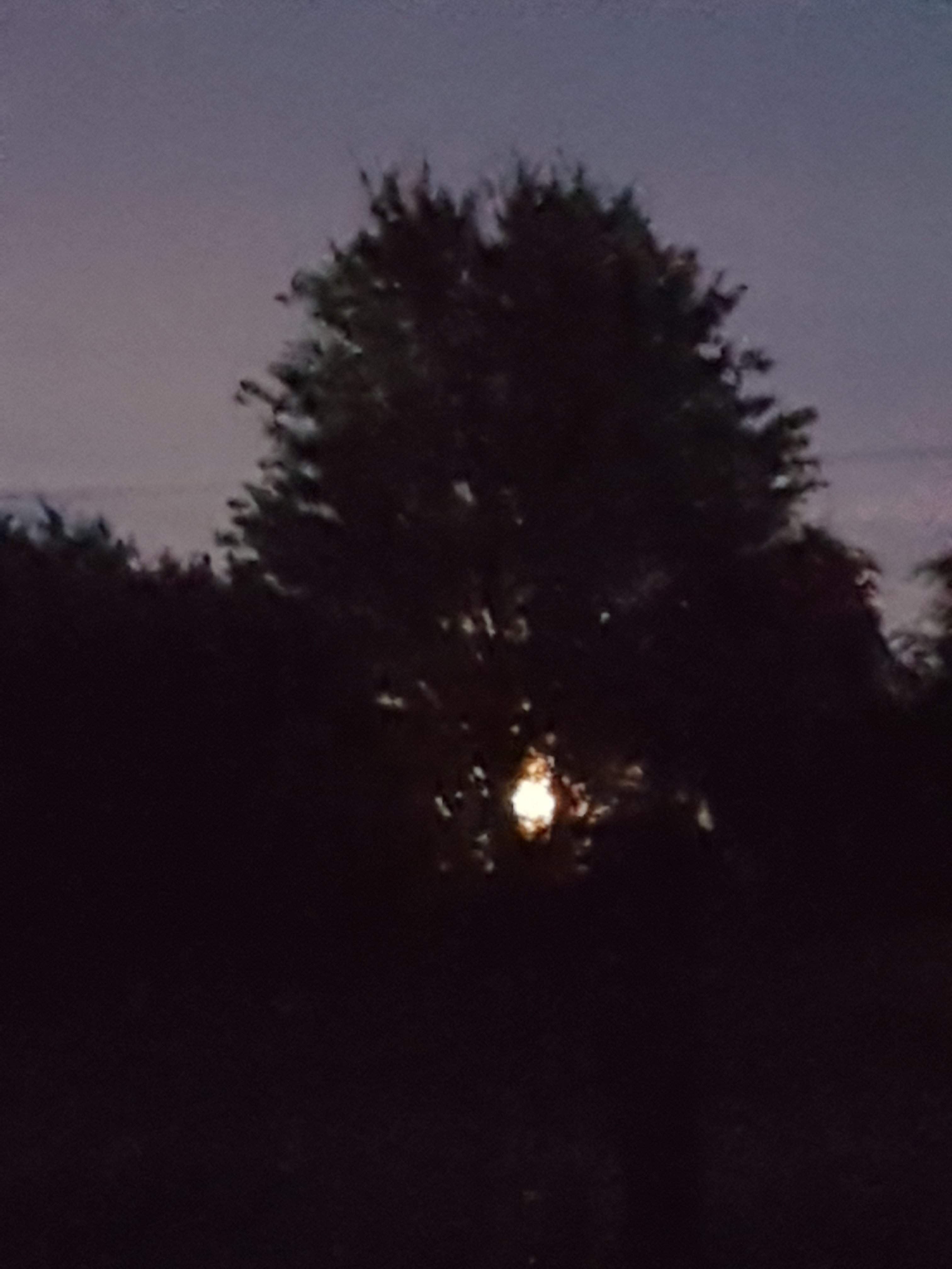 20191013_190038.jpg