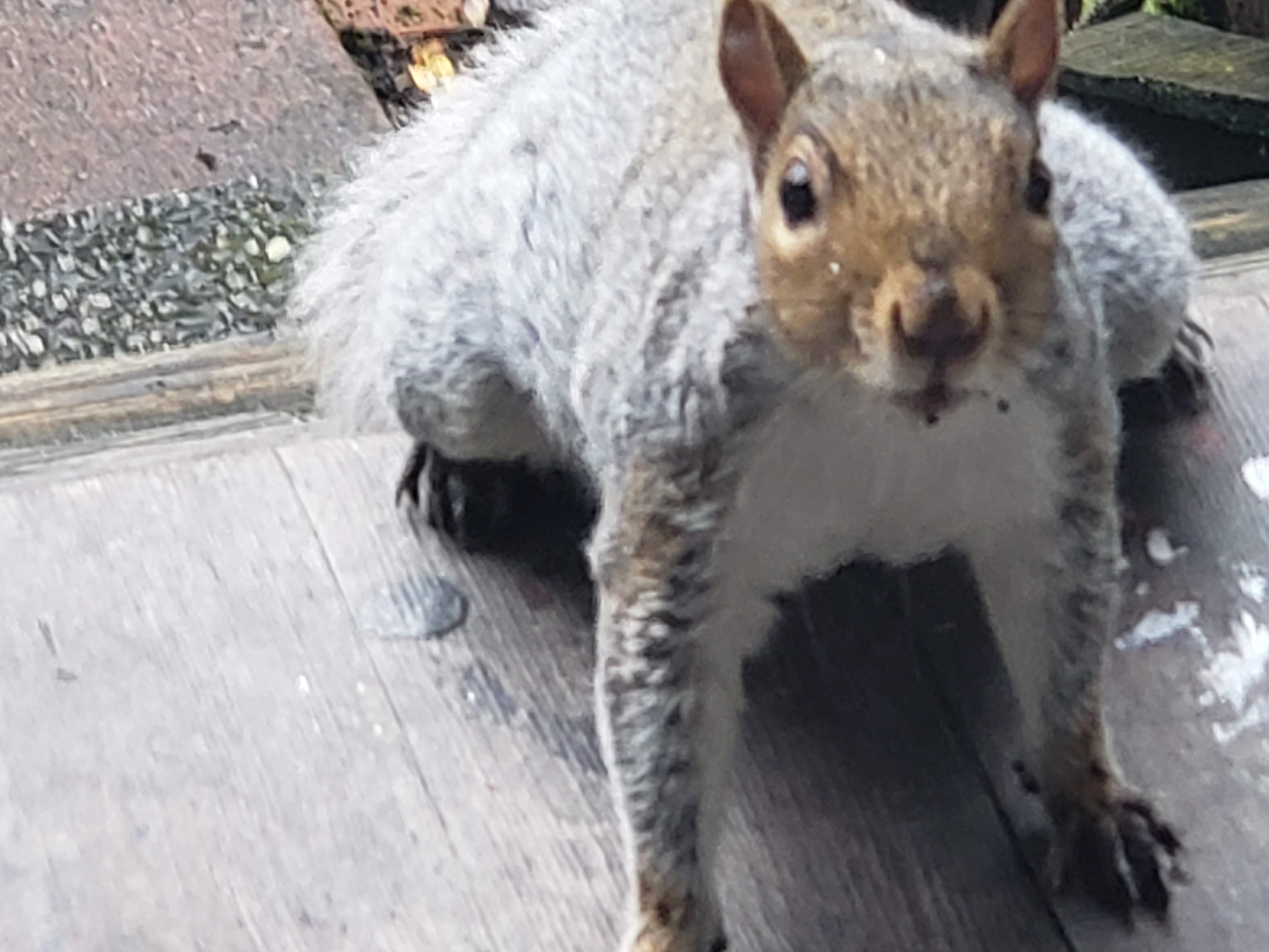 20191016_100248.jpg