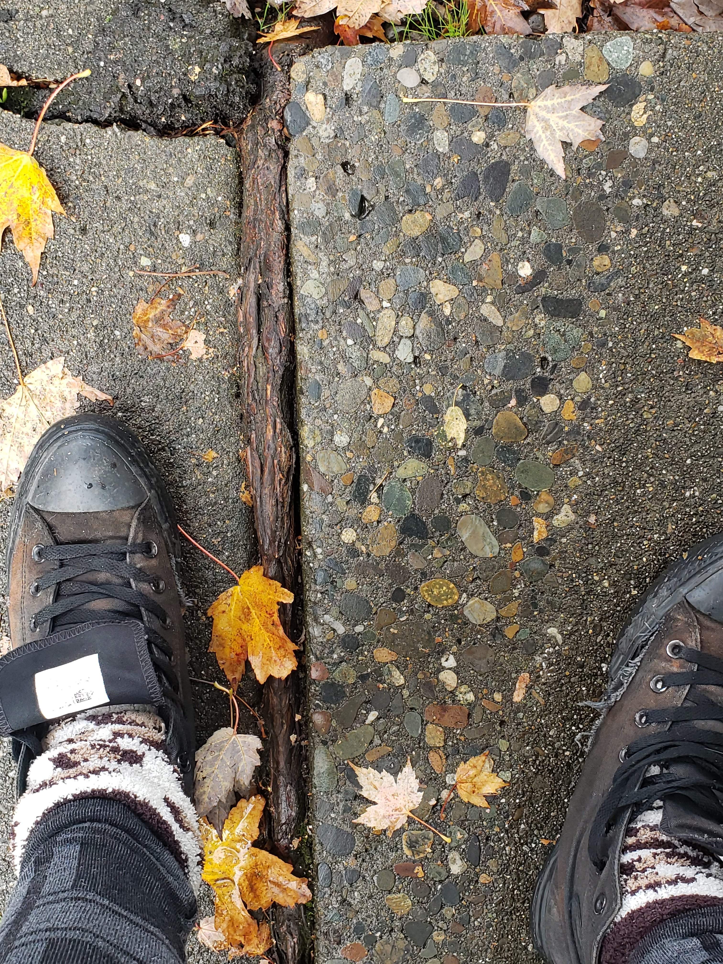 20191016_114313.jpg
