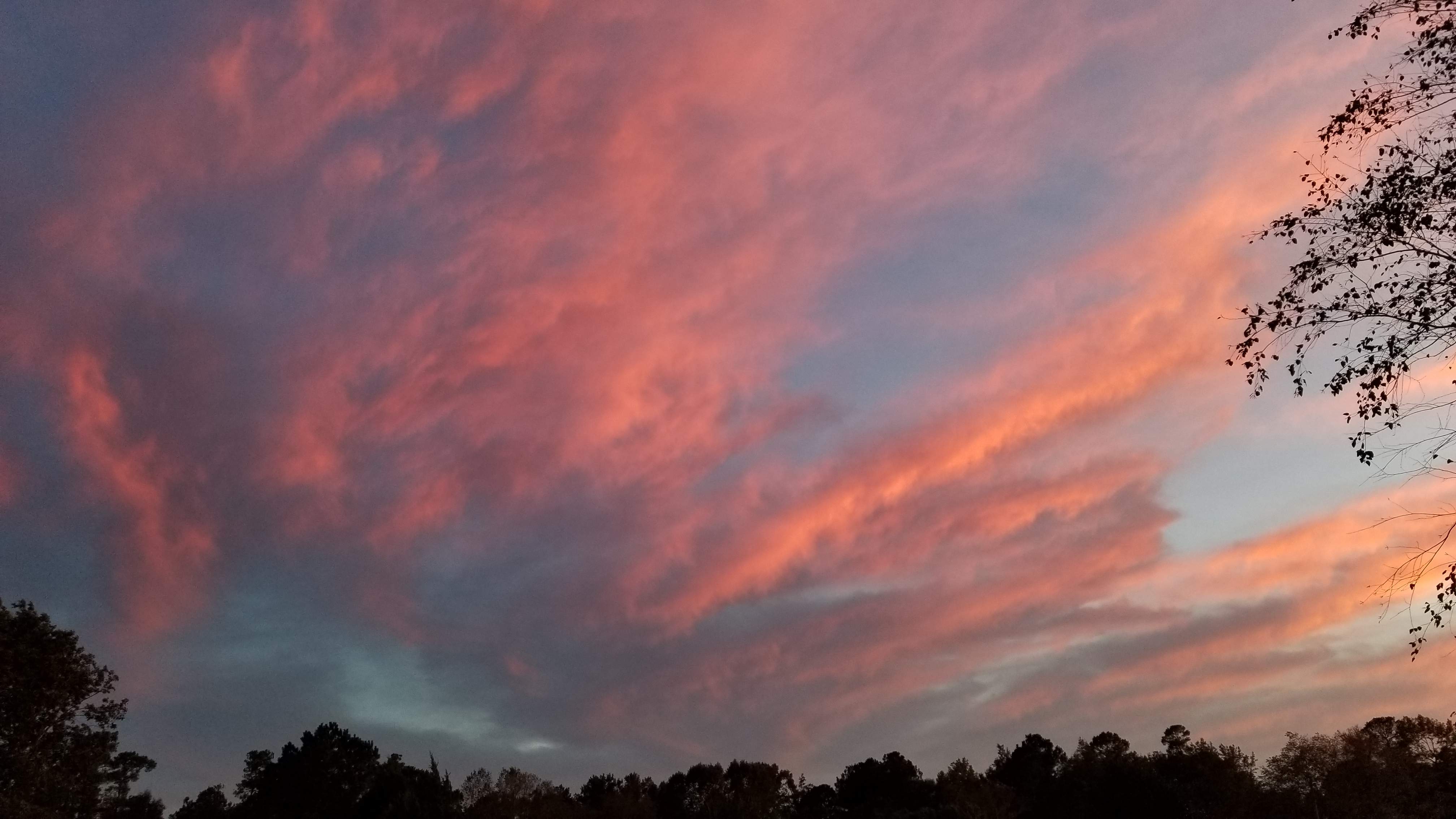 20191016_184528.jpg