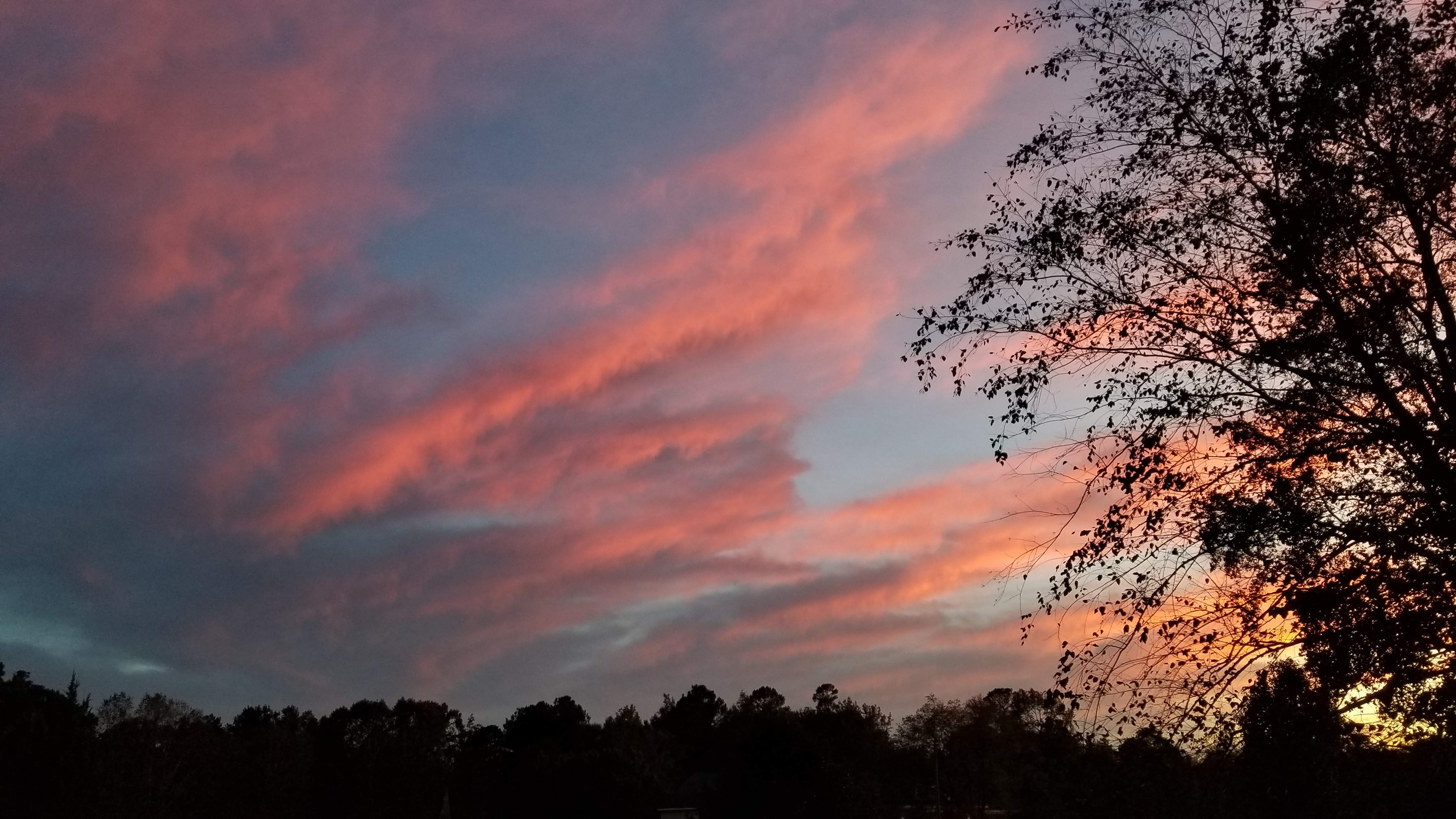 20191016_184623.jpg