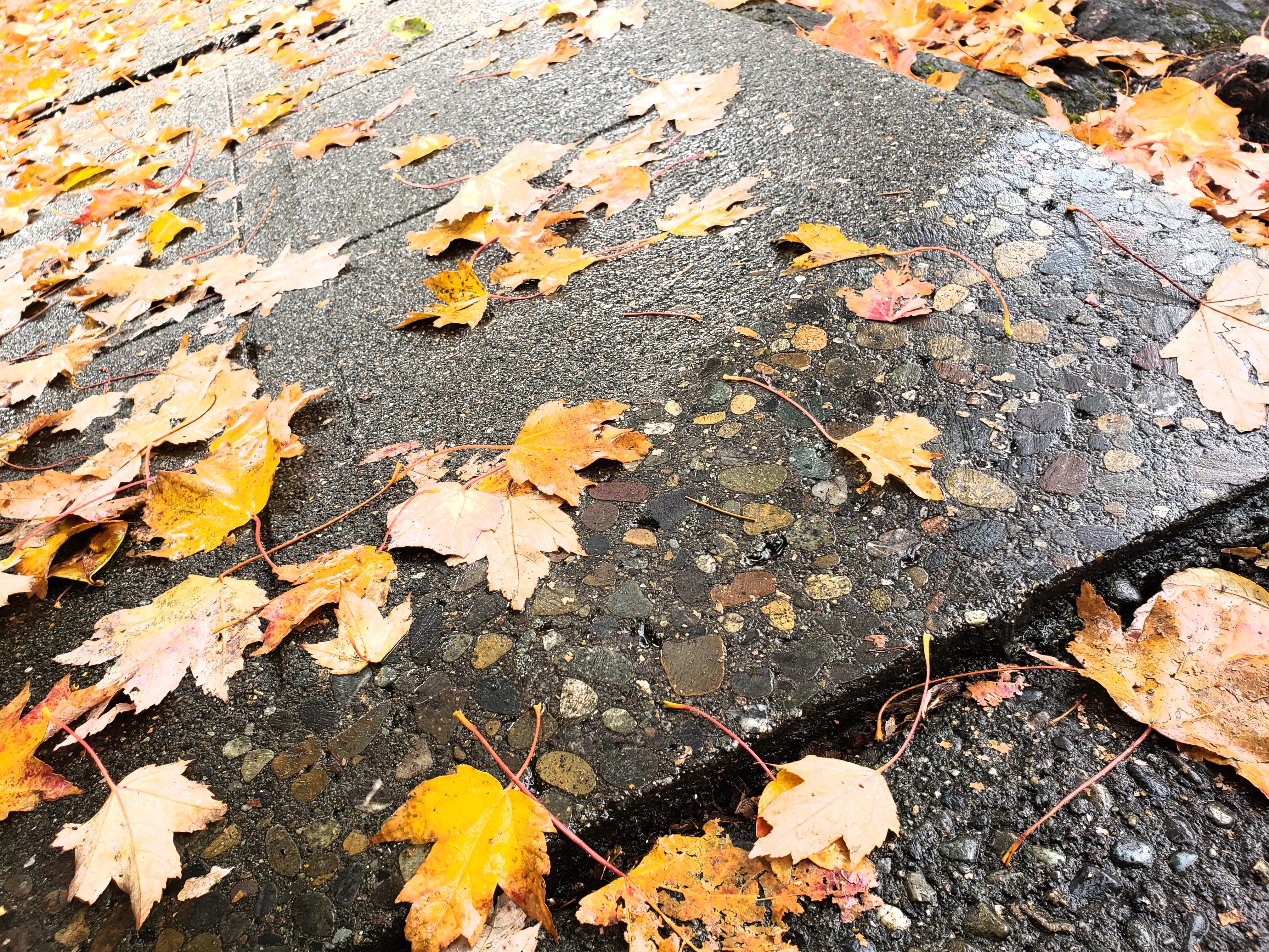 20191017_023835.jpg