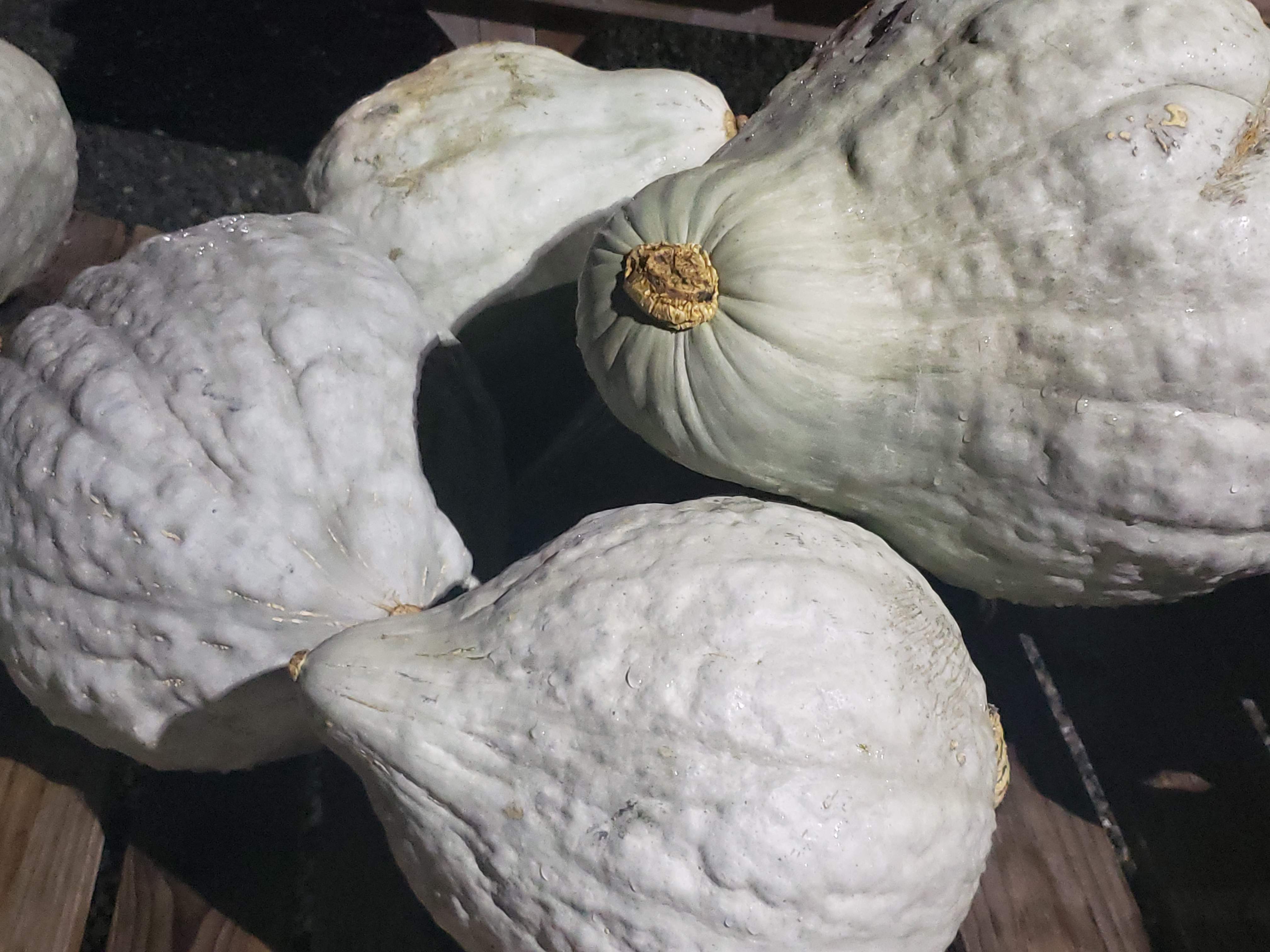 20191018_212640.jpg