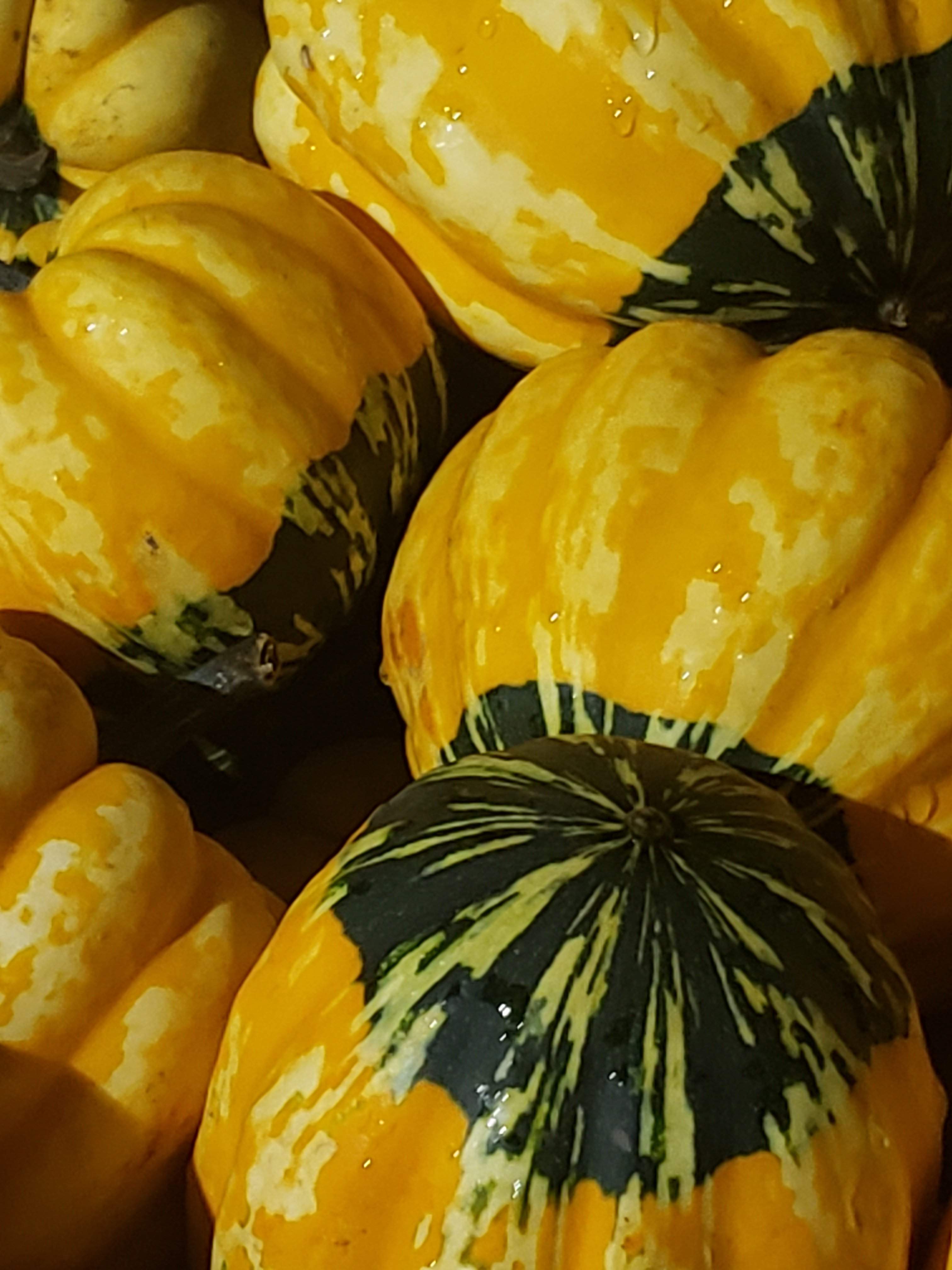 20191018_212741.jpg