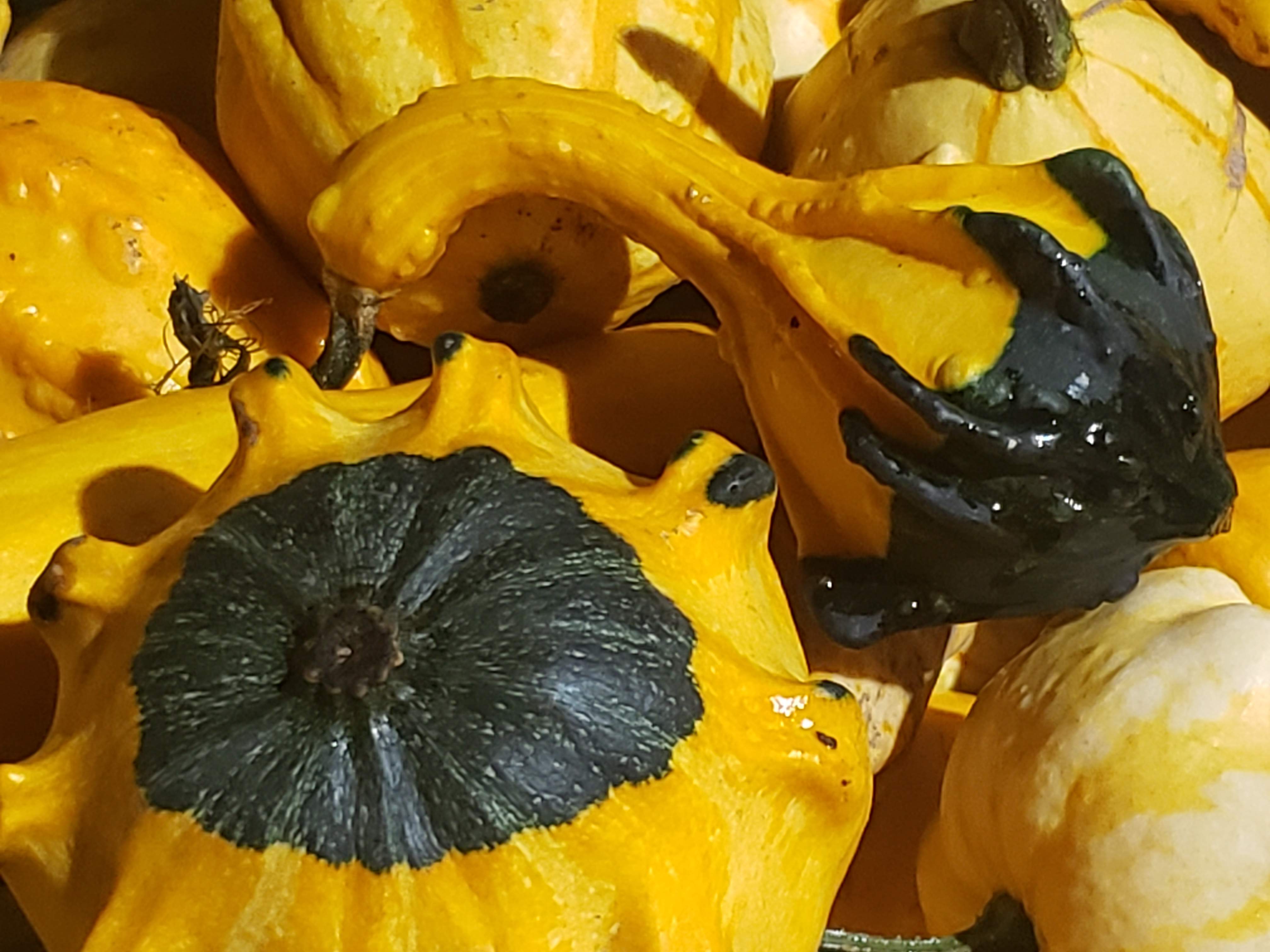 20191018_212848.jpg