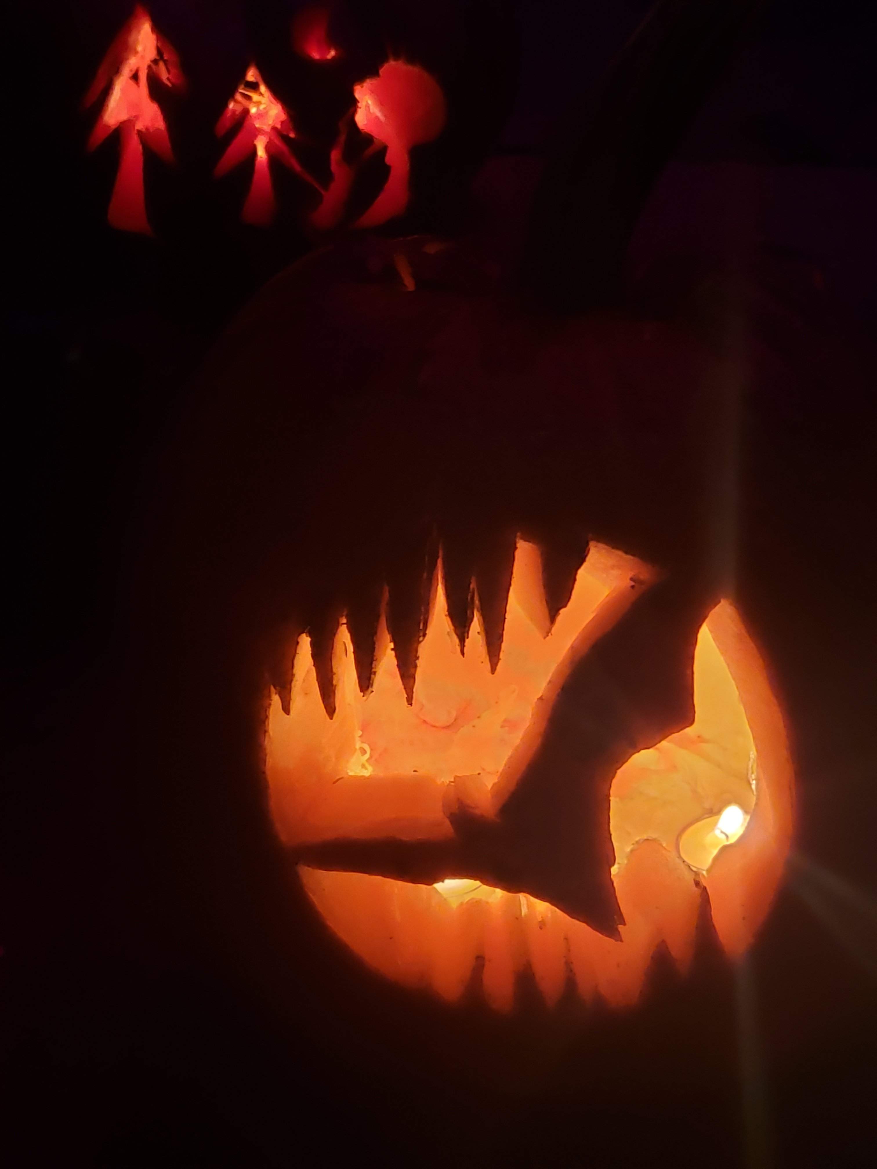 20191027_204214.jpg