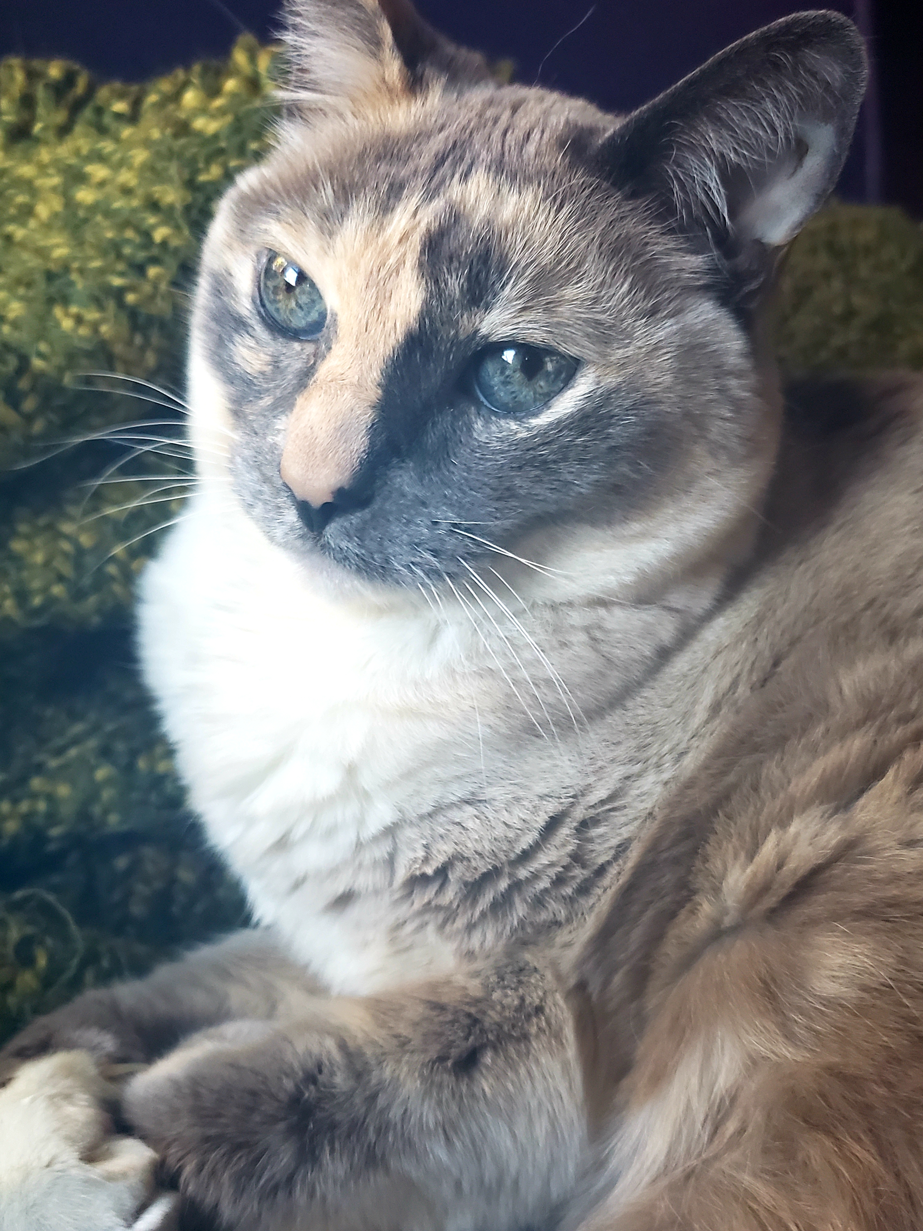 20191028_094001.jpg