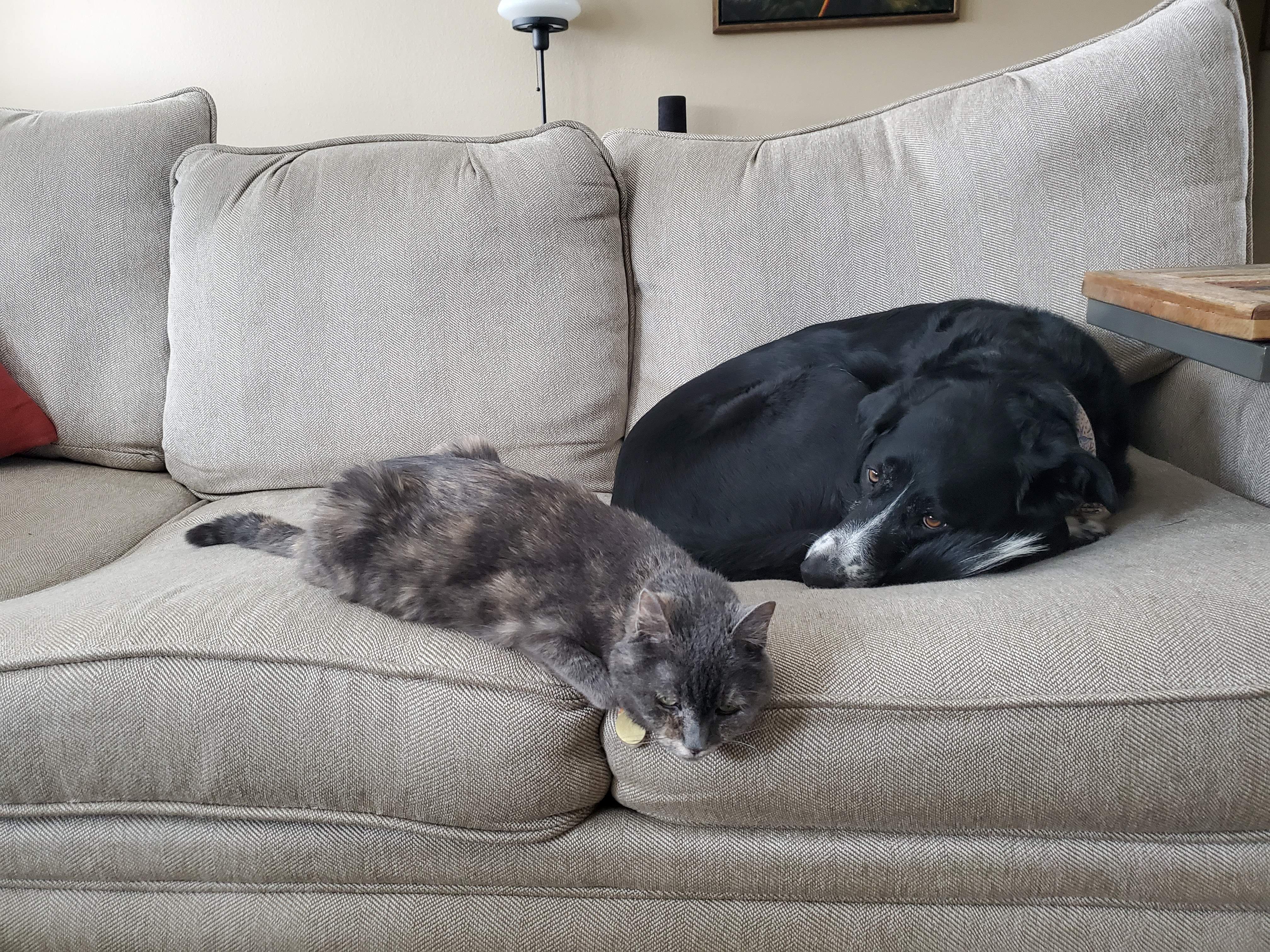 20191029_154754.jpg